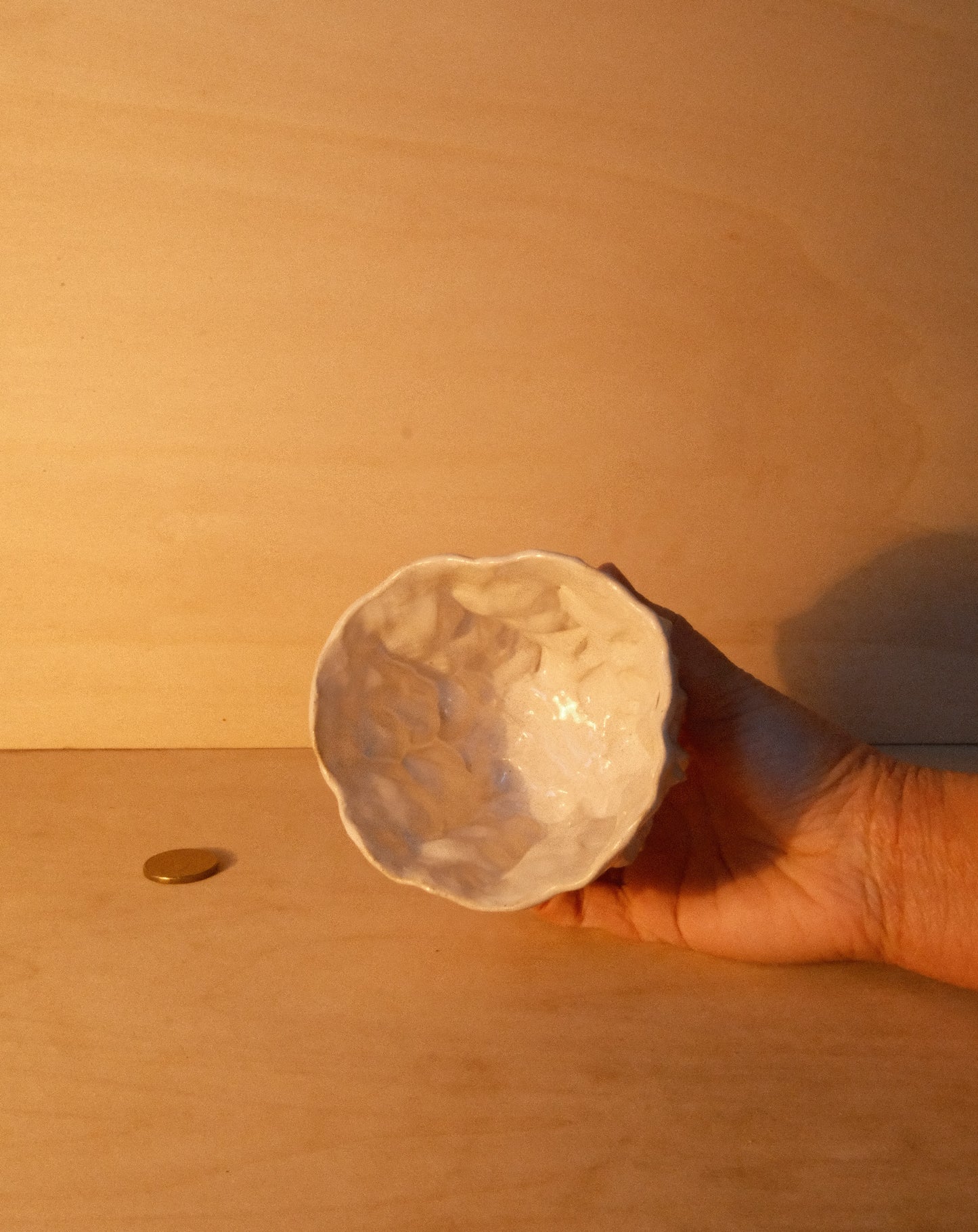 WHITE MOREL CUP 008