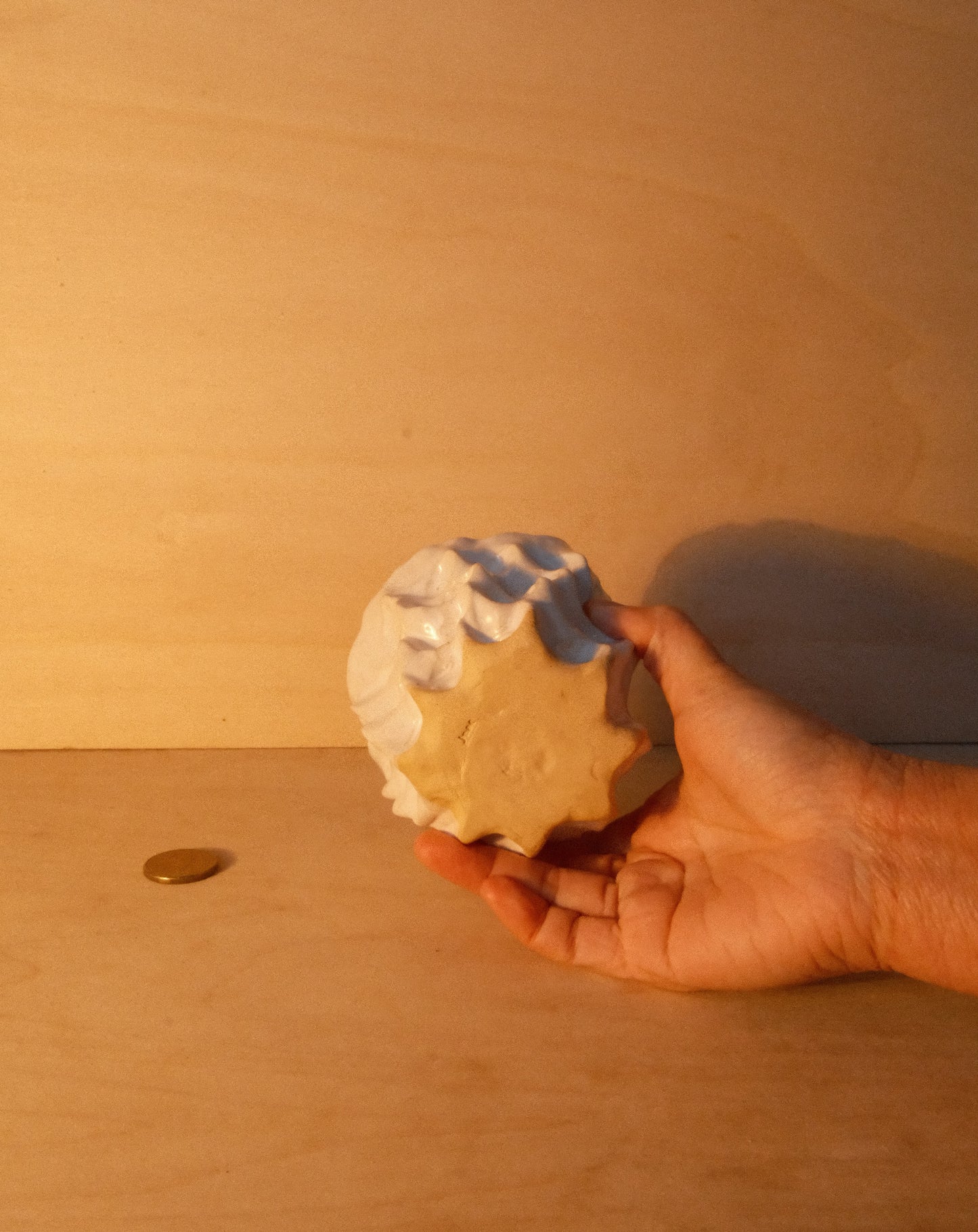 WHITE MOREL CUP 008