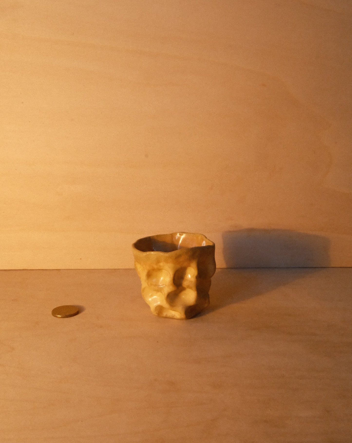 HONEY MOREL CUP 004