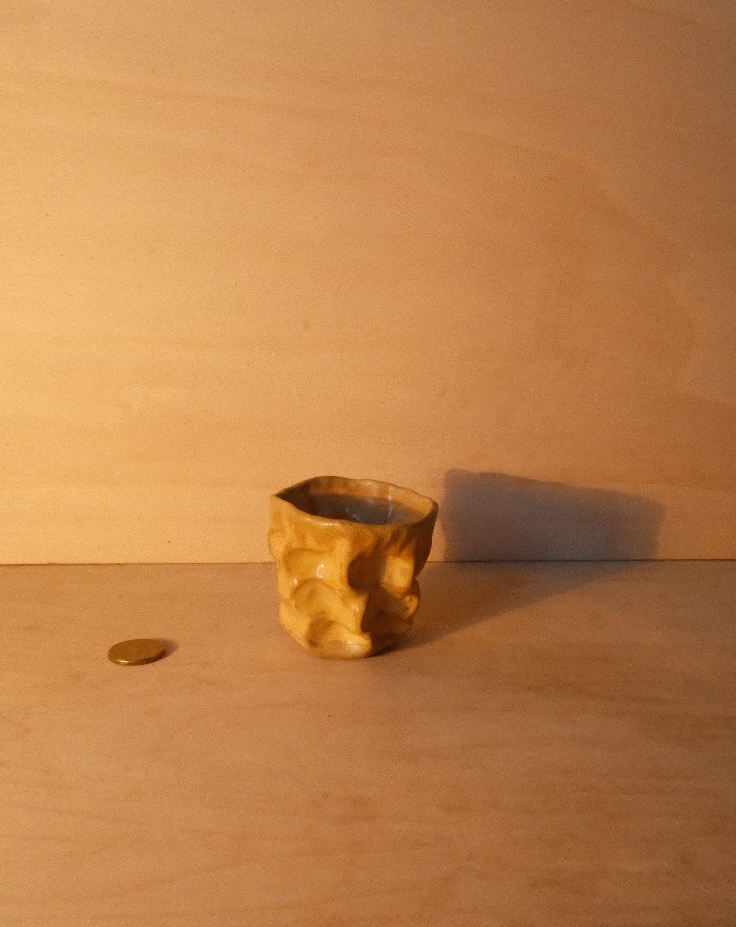 HONEY MOREL CUP 004