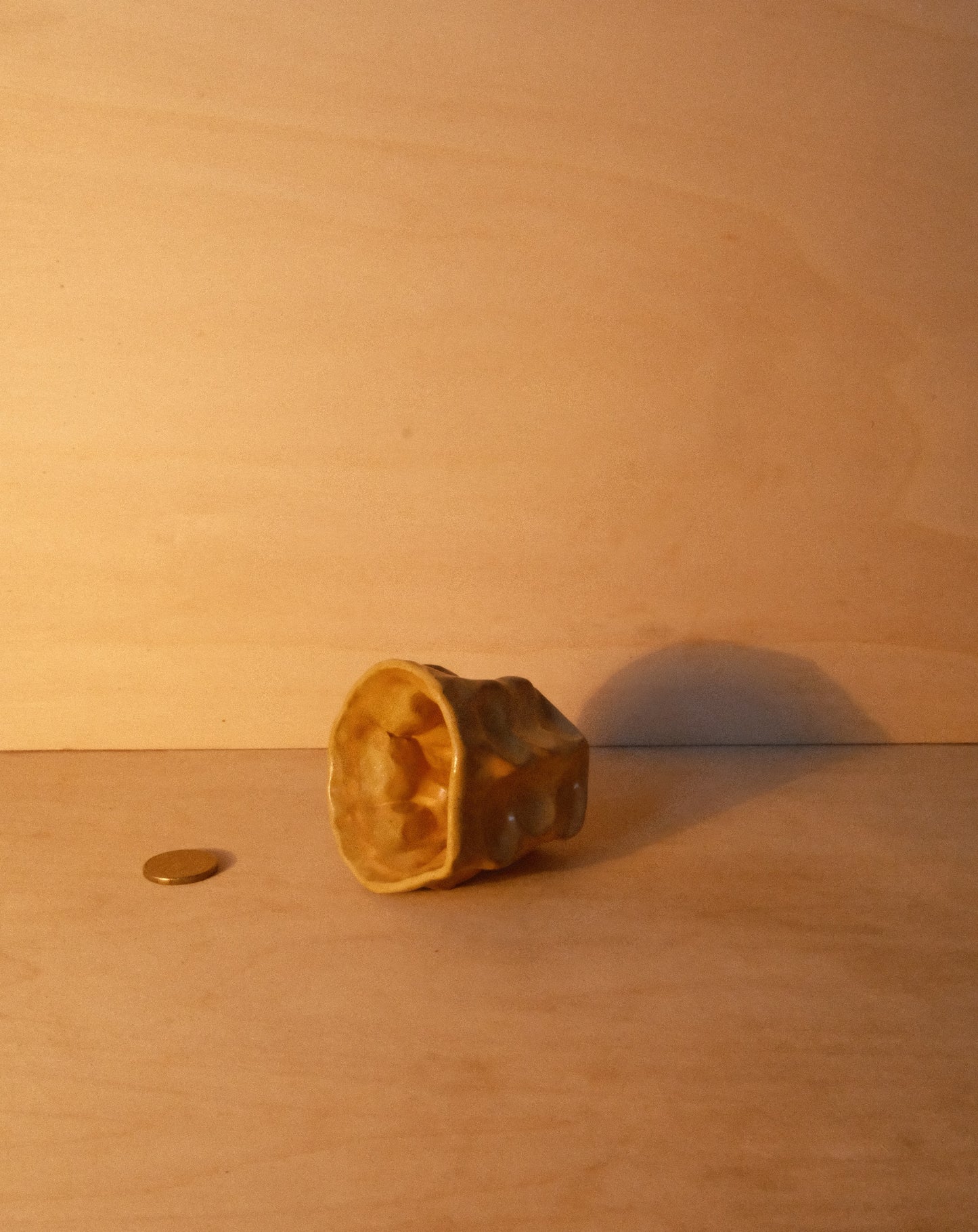 HONEY MOREL CUP 004