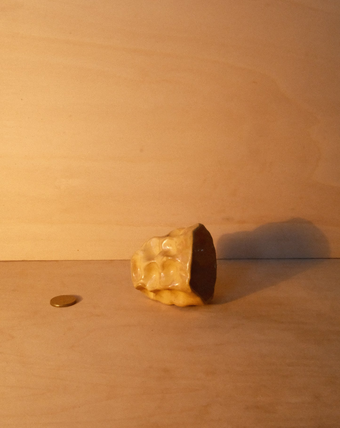 HONEY MOREL CUP 004