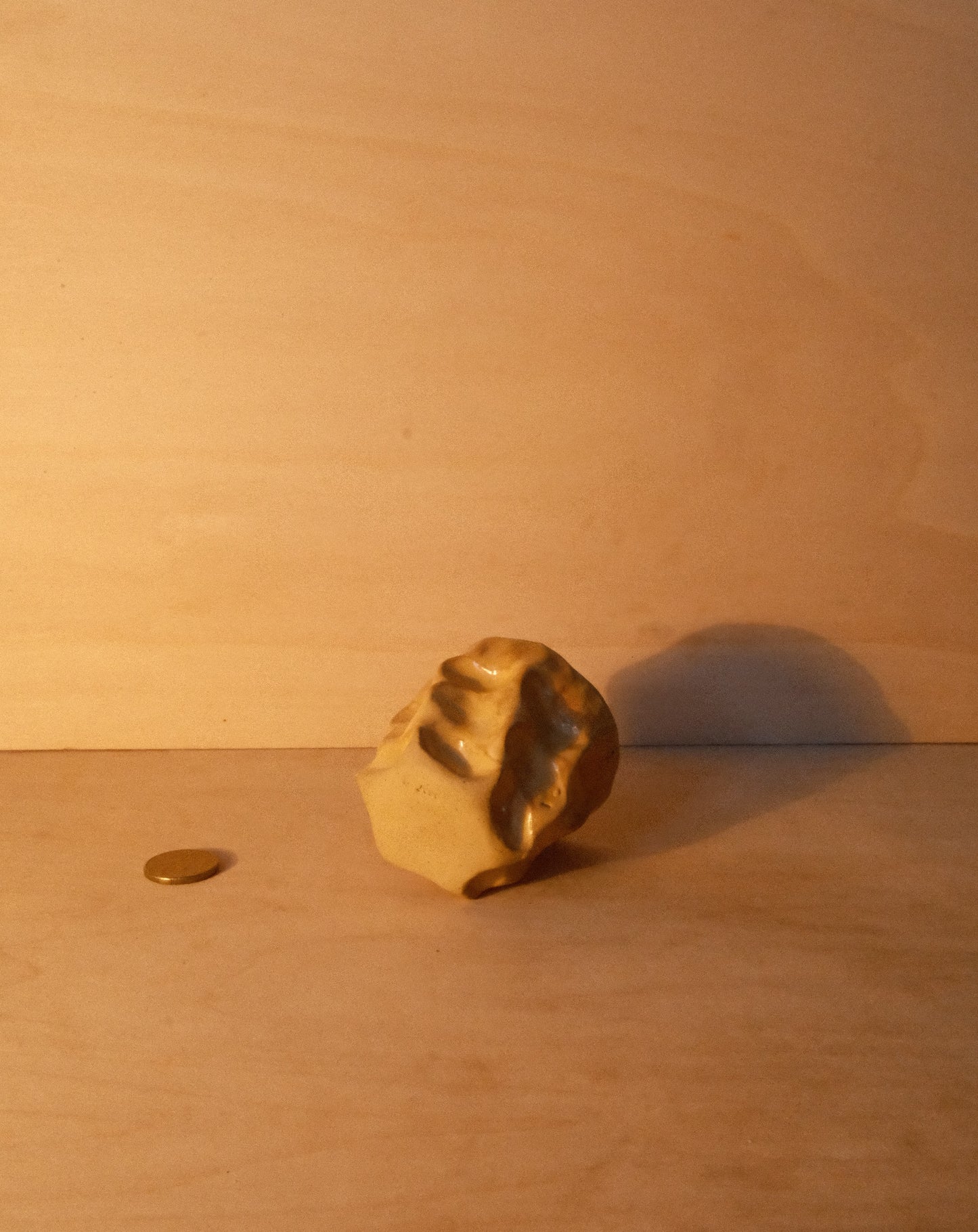 HONEY MOREL CUP 004