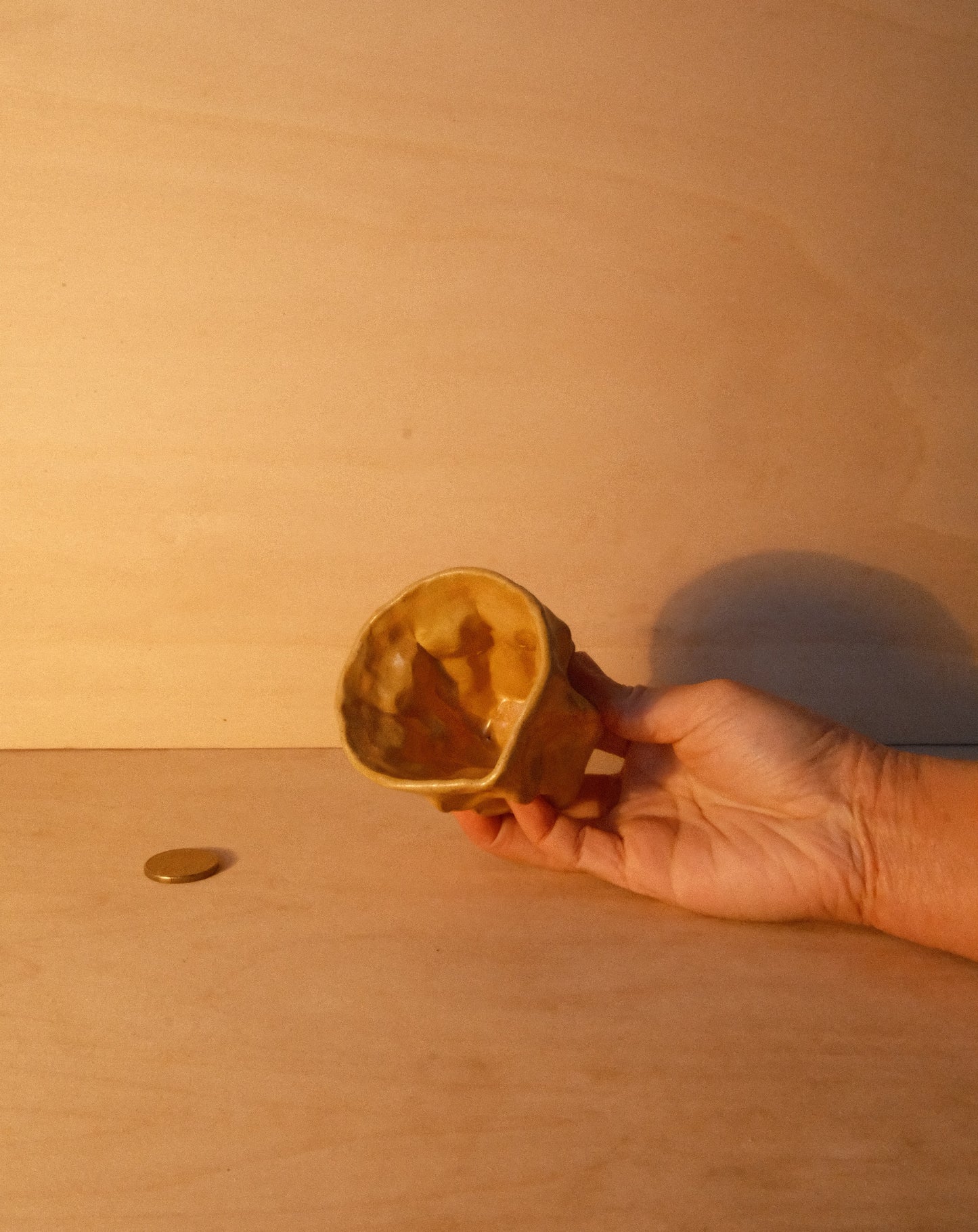 HONEY MOREL CUP 004