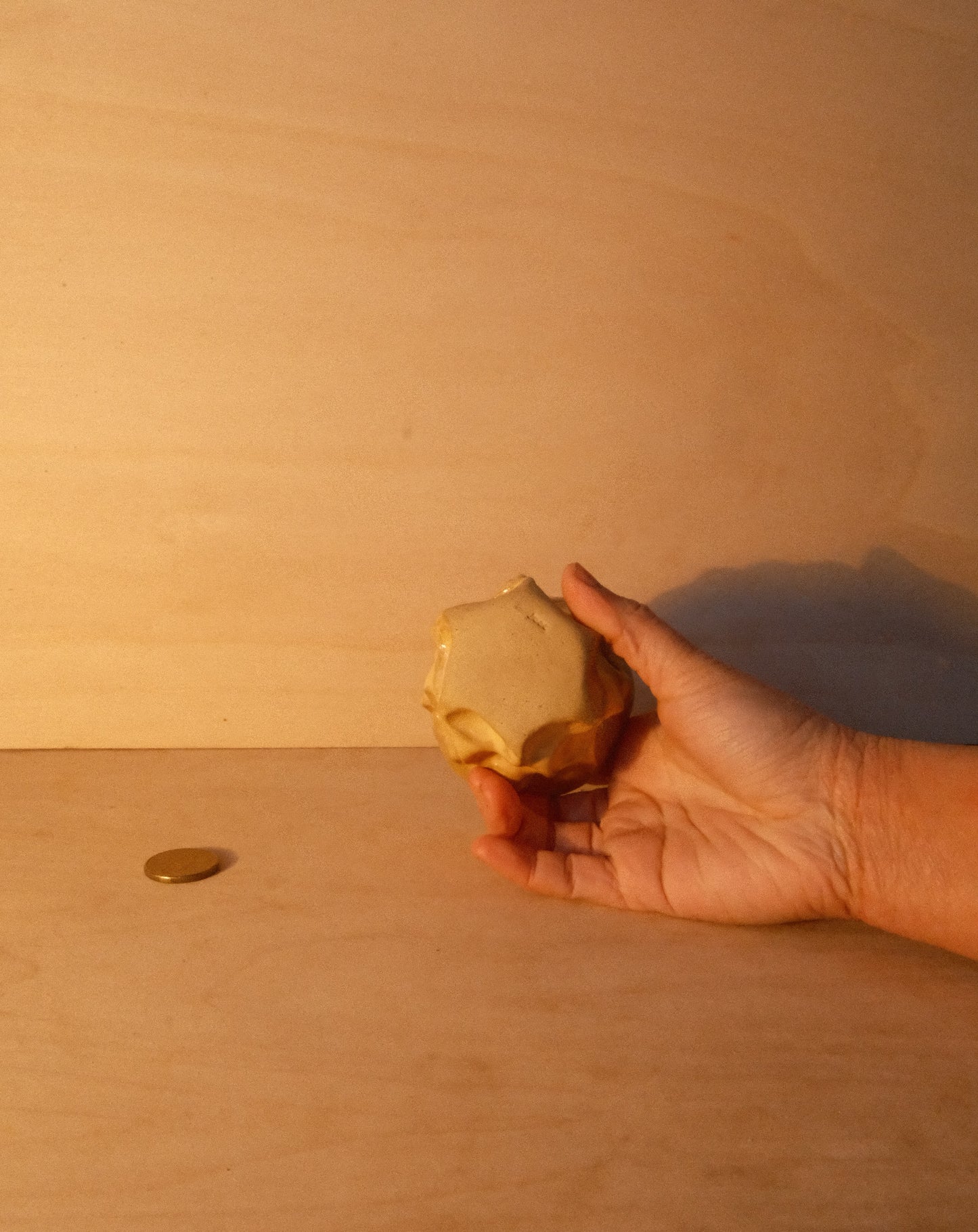 HONEY MOREL CUP 004