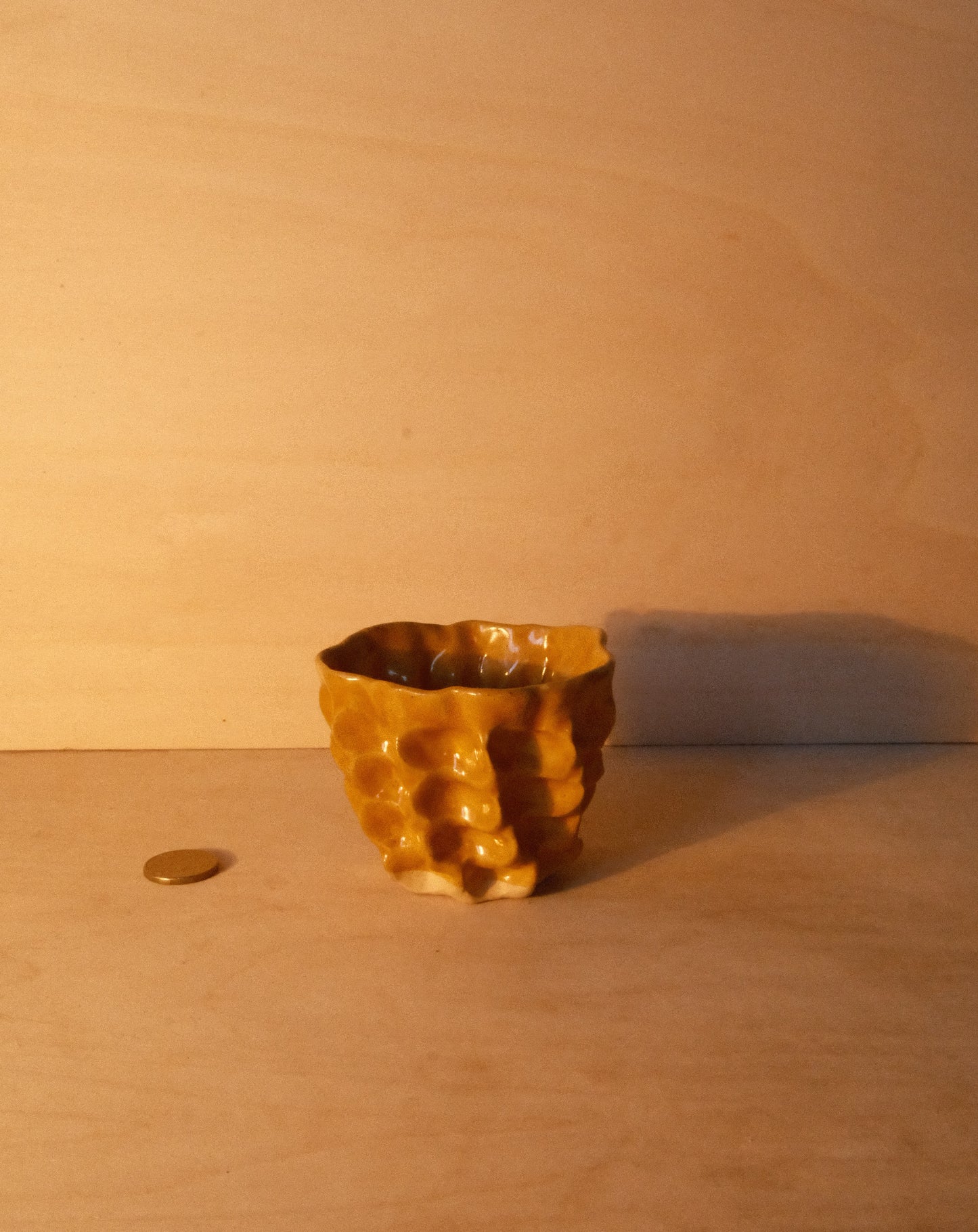 HONEY MOREL CUP 005
