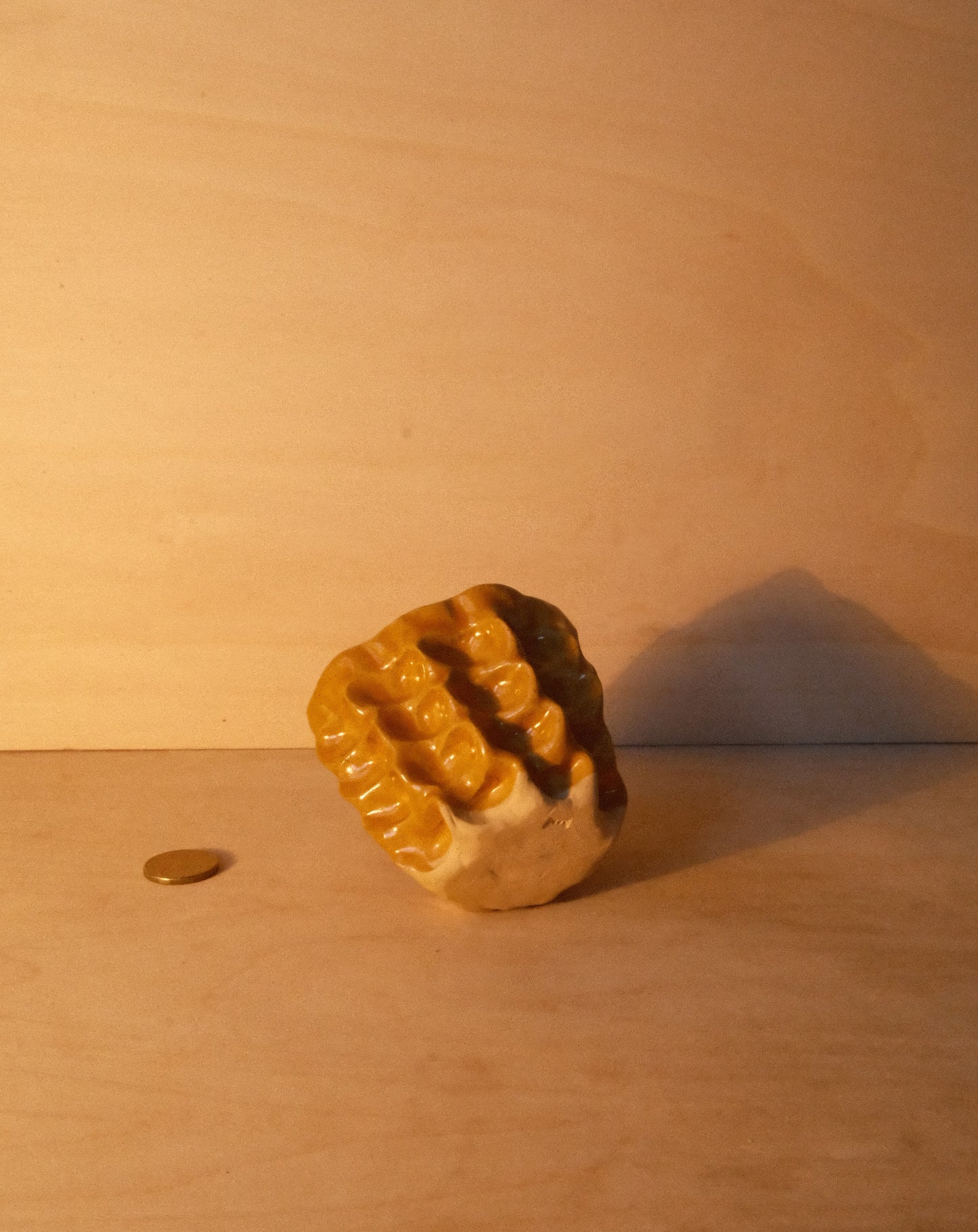 HONEY MOREL CUP 005
