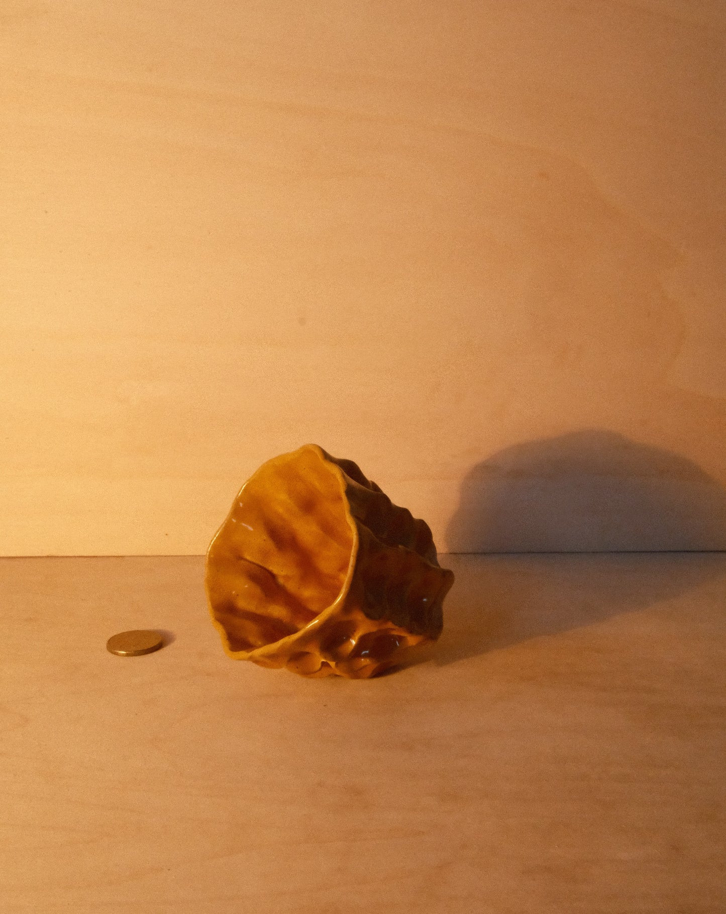 HONEY MOREL CUP 005