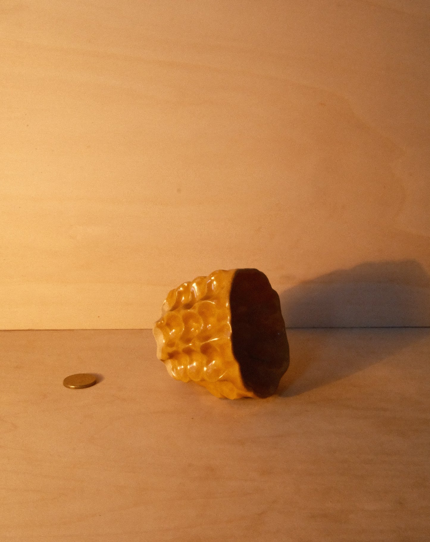 HONEY MOREL CUP 005