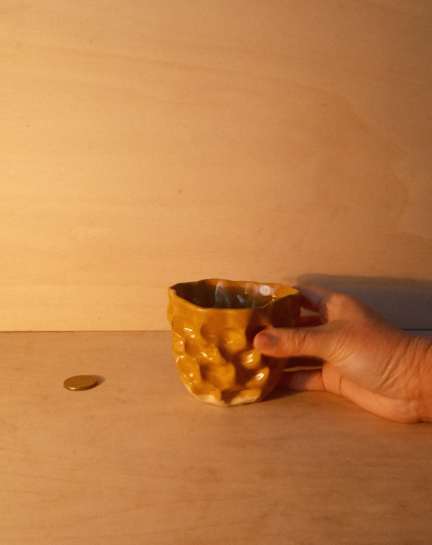 HONEY MOREL CUP 005