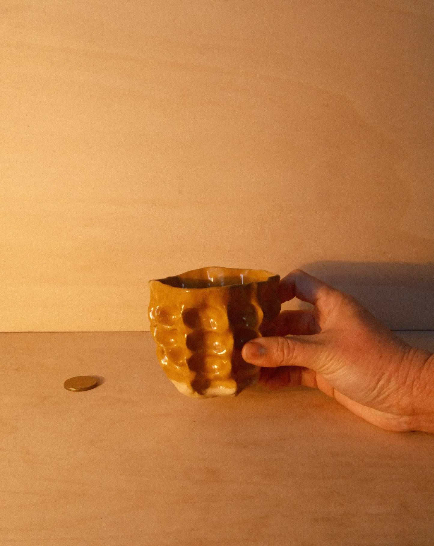 HONEY MOREL CUP 005