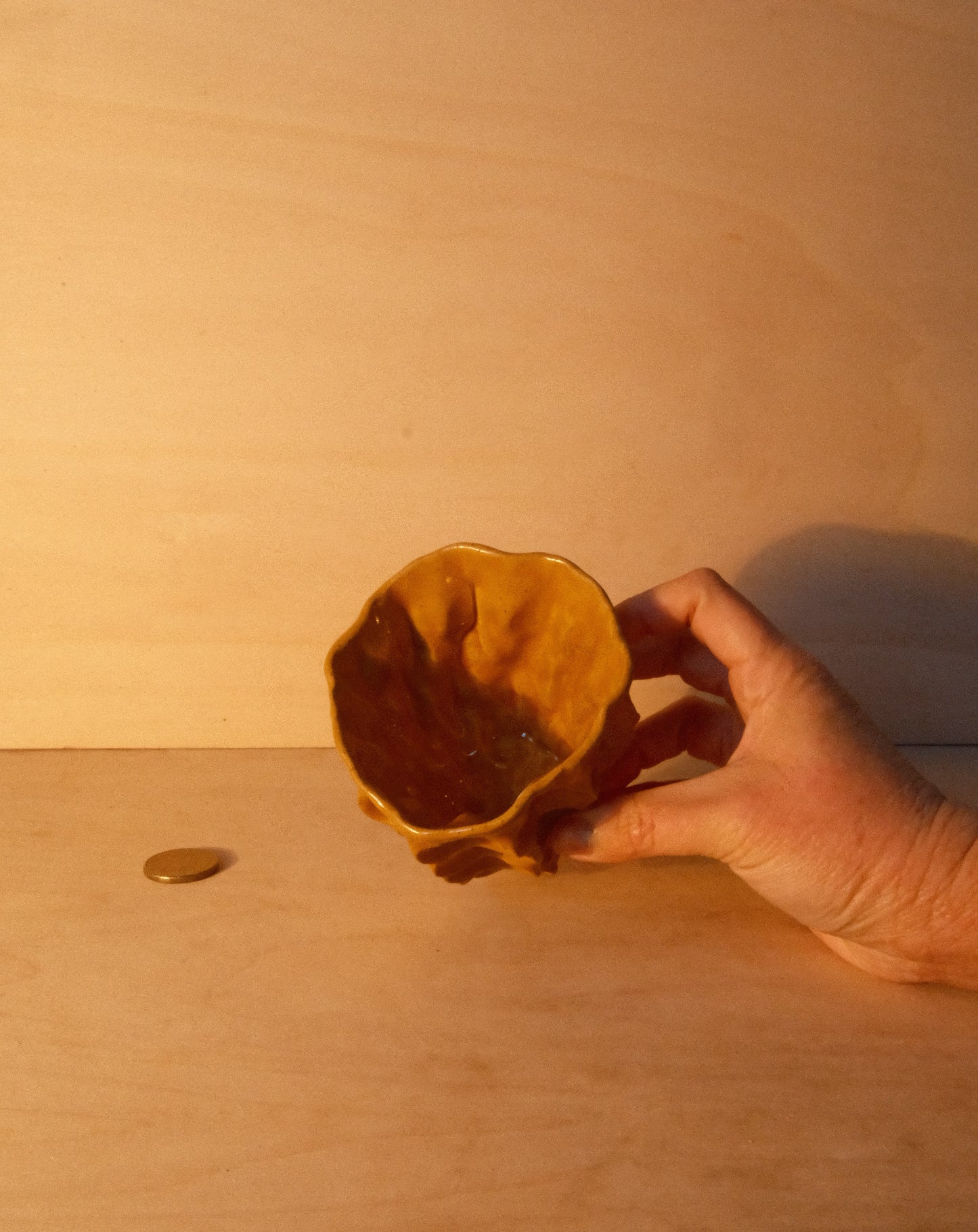 HONEY MOREL CUP 005
