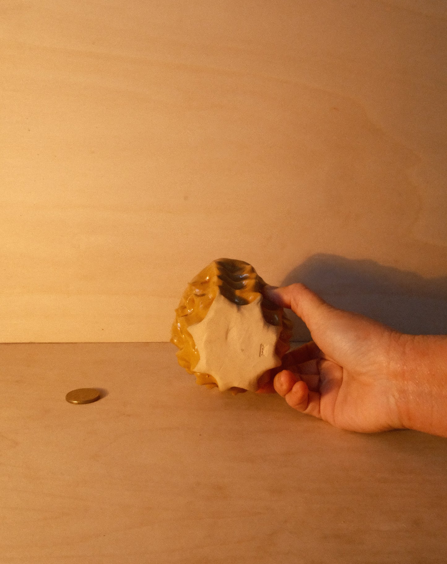 HONEY MOREL CUP 005