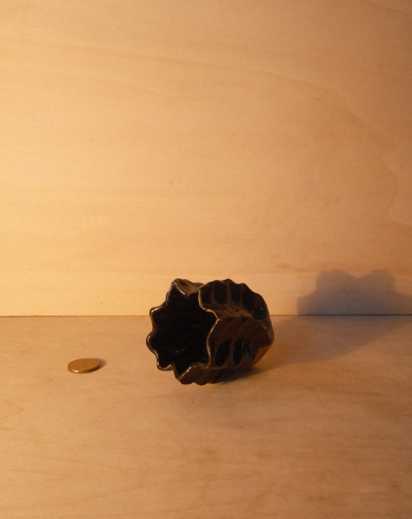 BLACK MOREL VASE 004