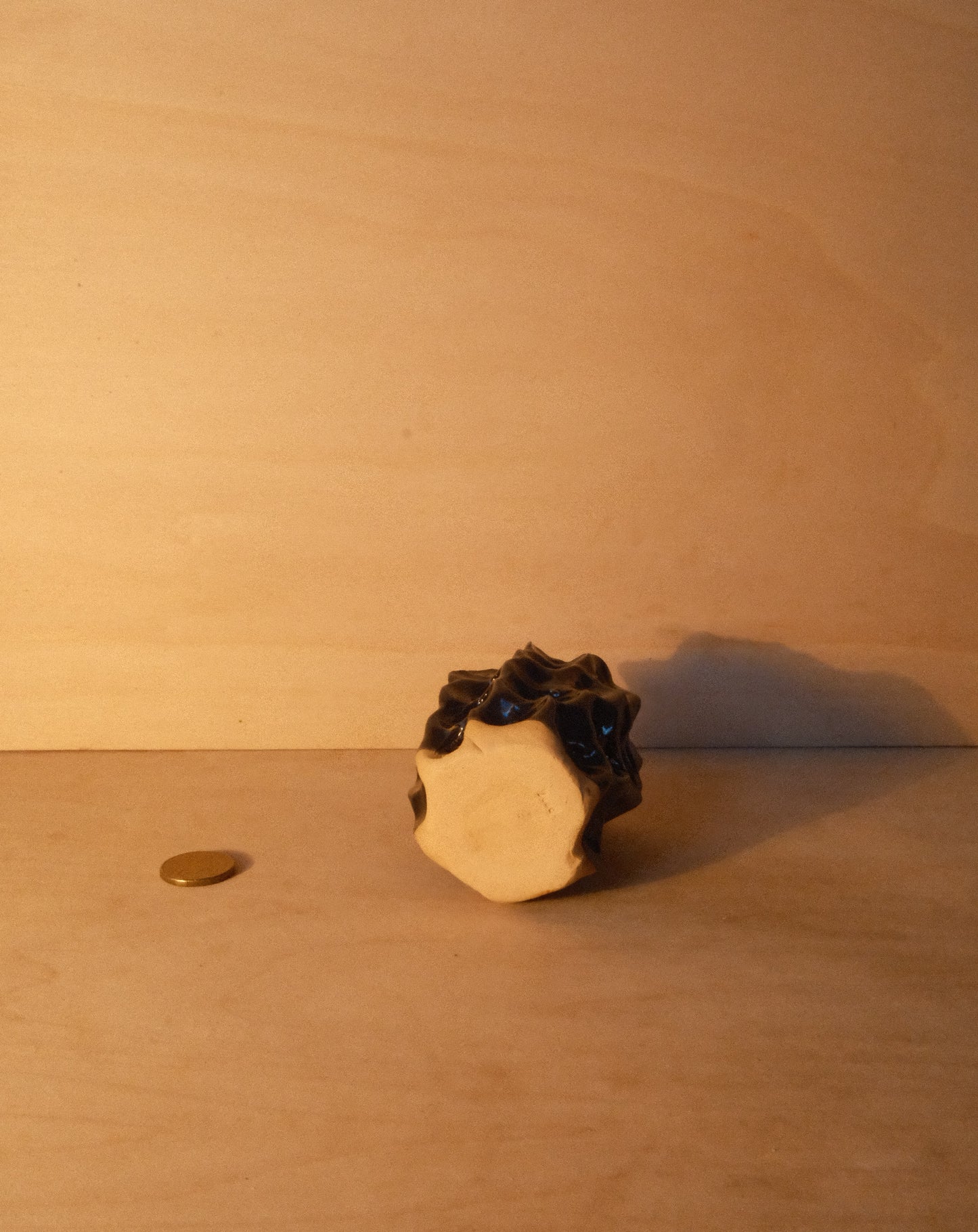 BLACK MOREL VASE 004