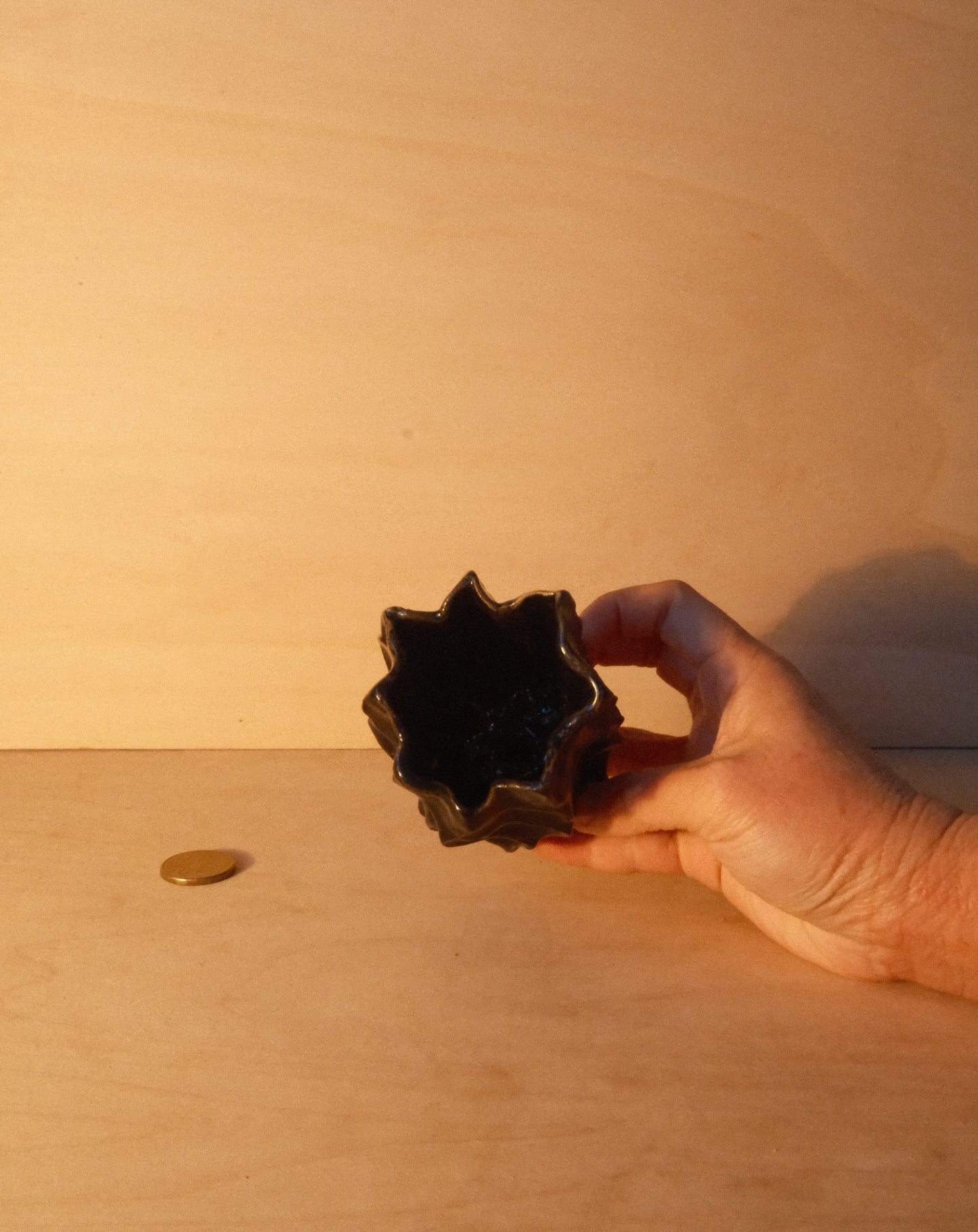 BLACK MOREL VASE 004