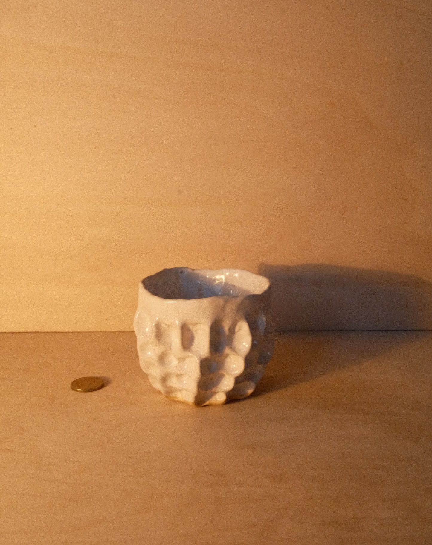 WHITE MOREL CUP 009