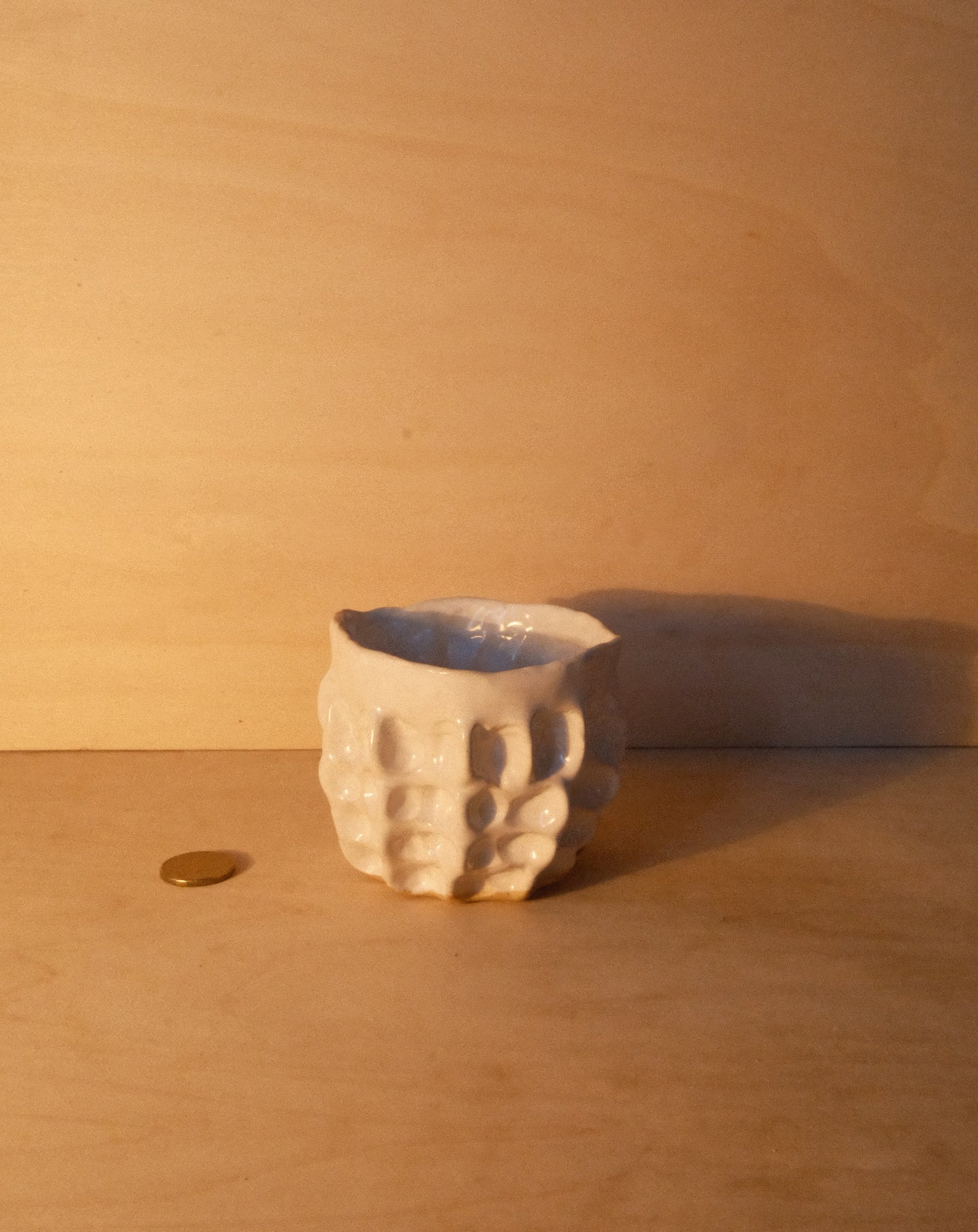 WHITE MOREL CUP 009