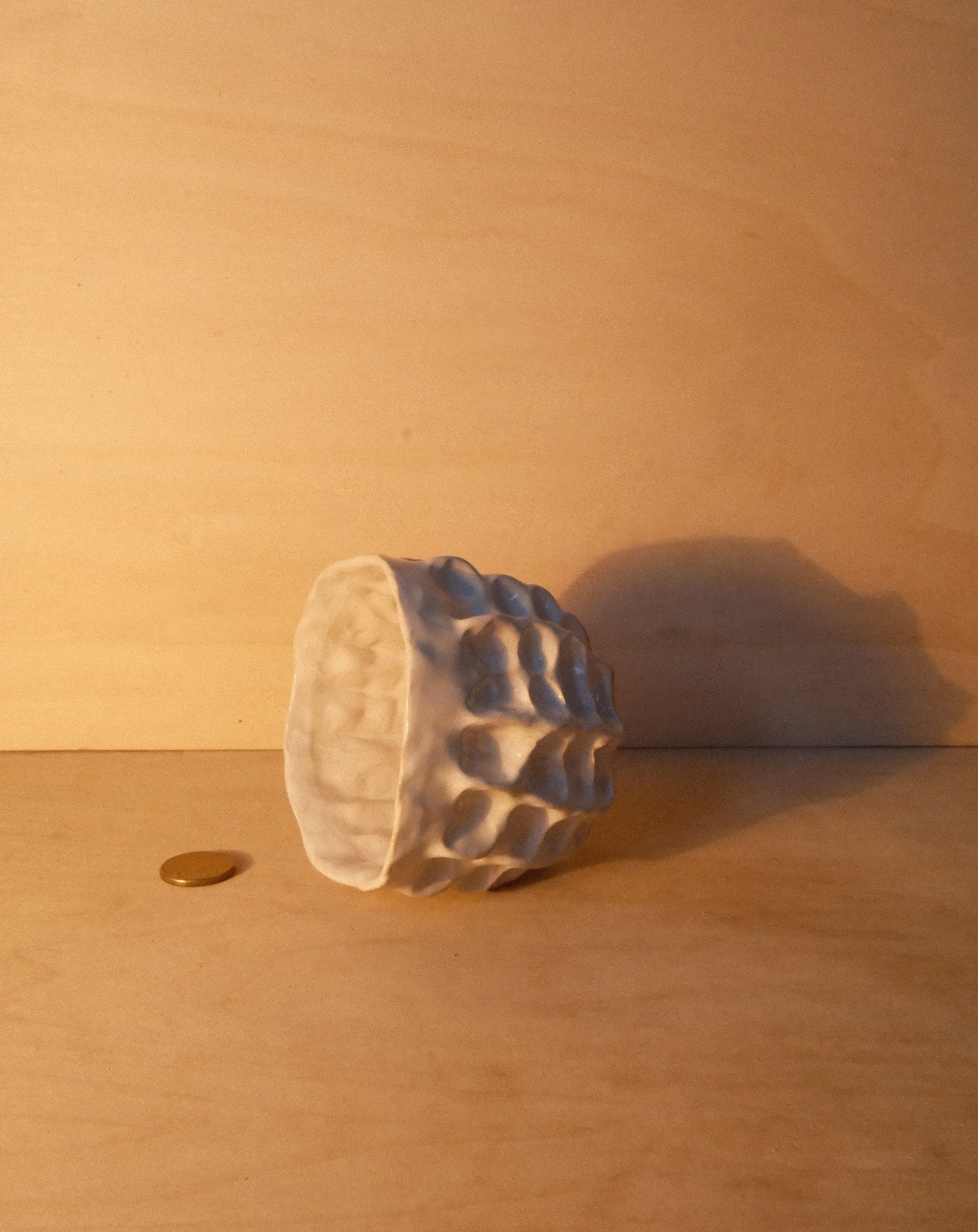 WHITE MOREL CUP 009