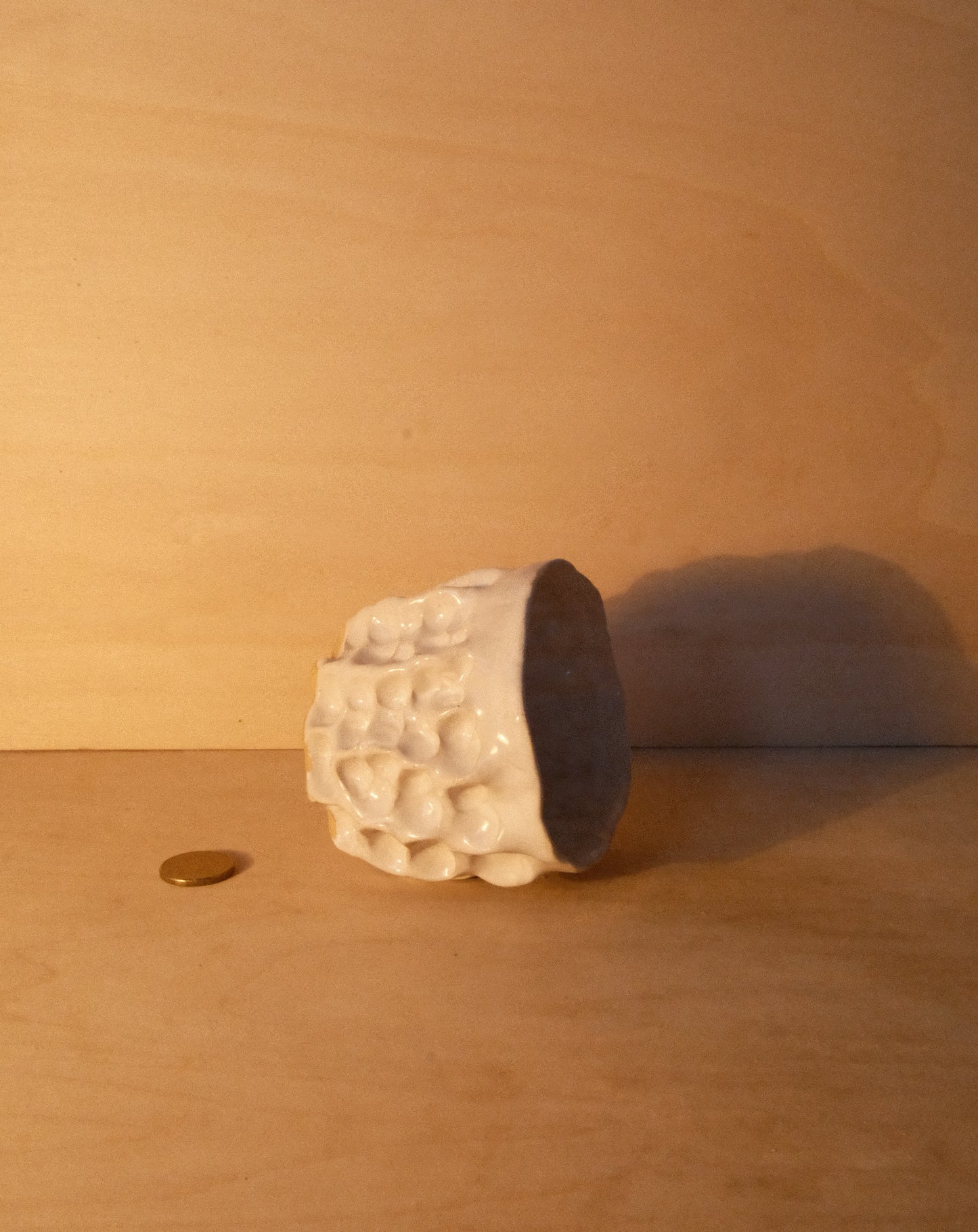 WHITE MOREL CUP 009
