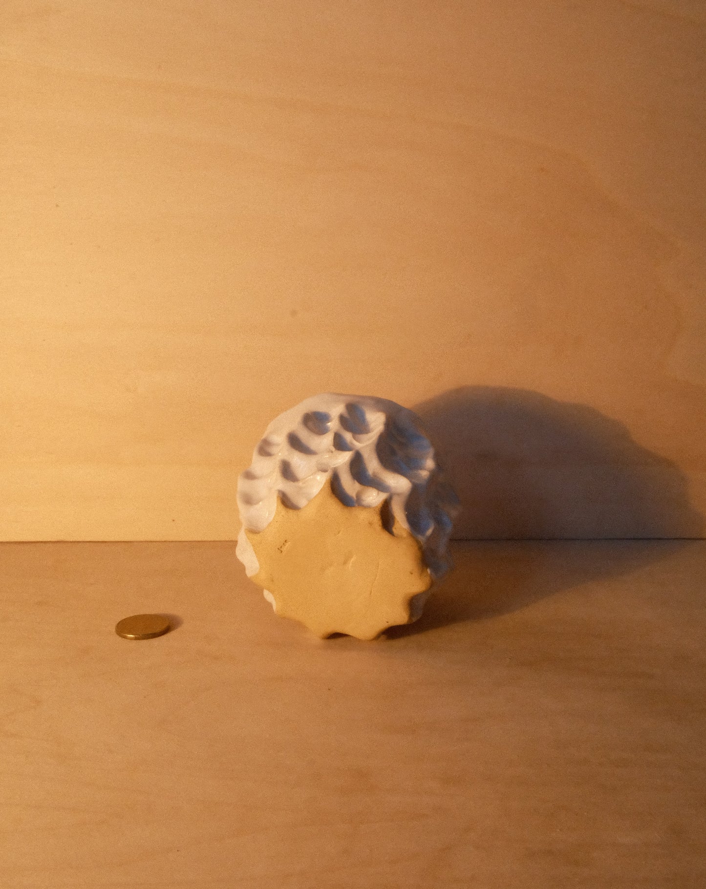 WHITE MOREL CUP 009