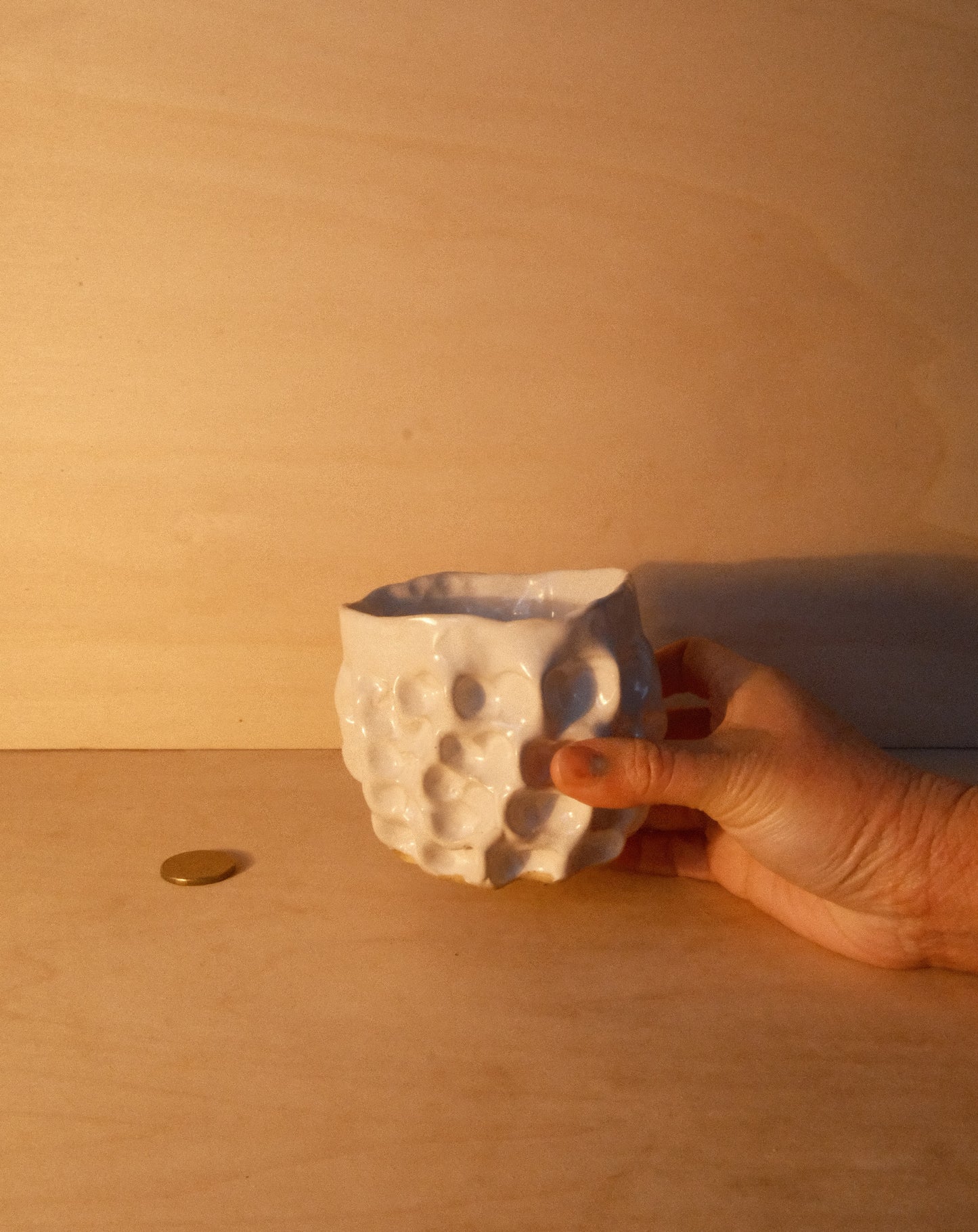 WHITE MOREL CUP 009