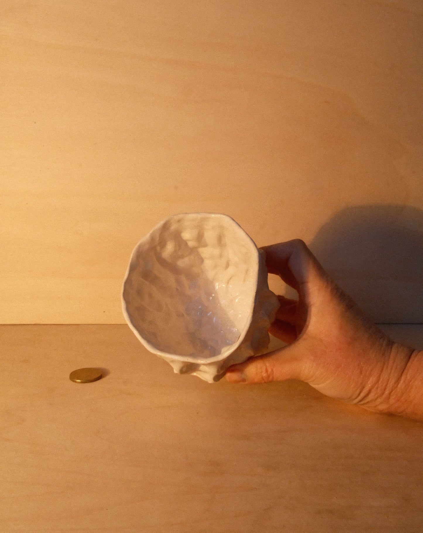 WHITE MOREL CUP 009