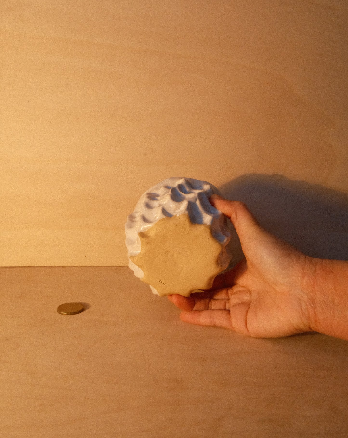 WHITE MOREL CUP 009