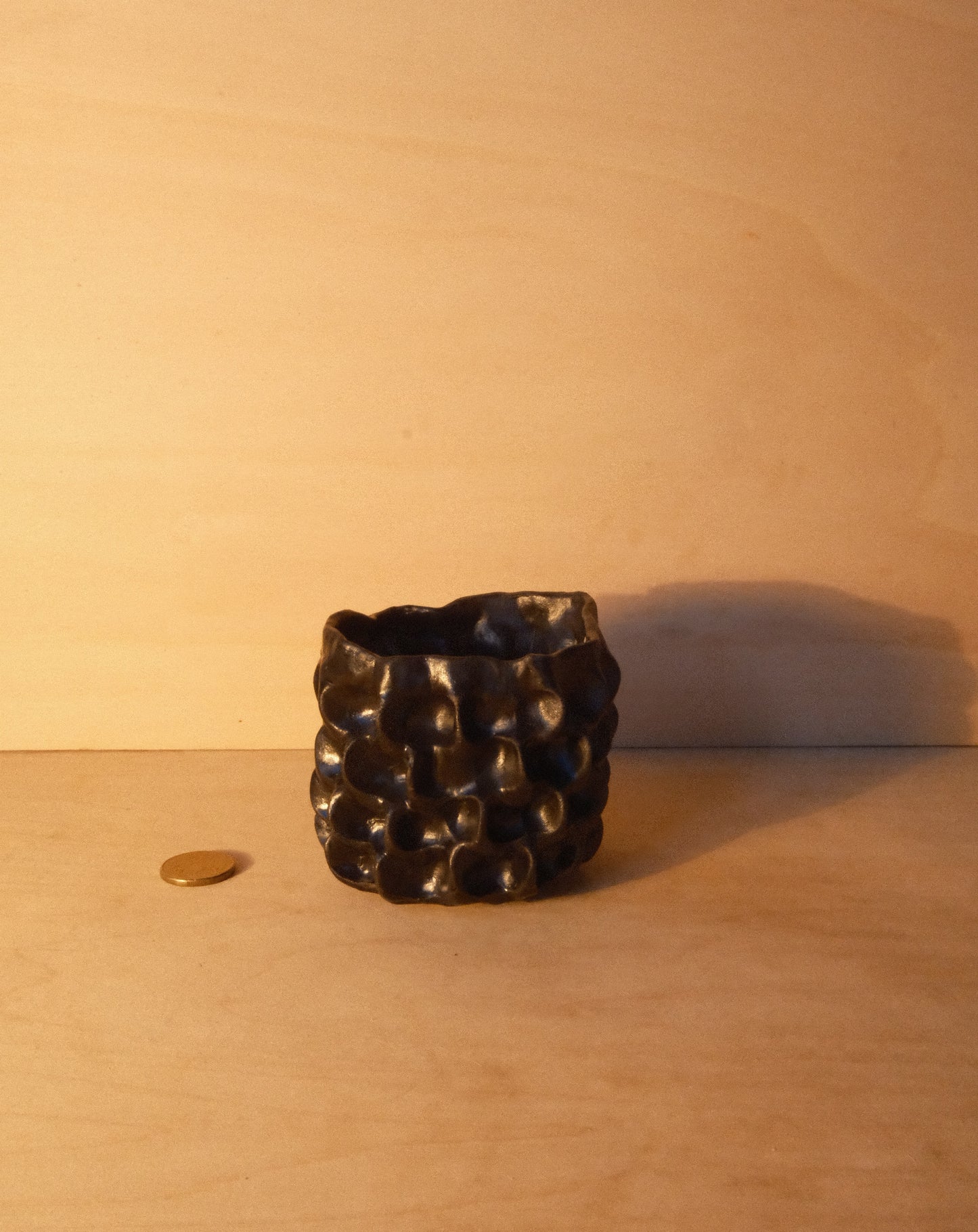 BLACK MOREL CUP 007
