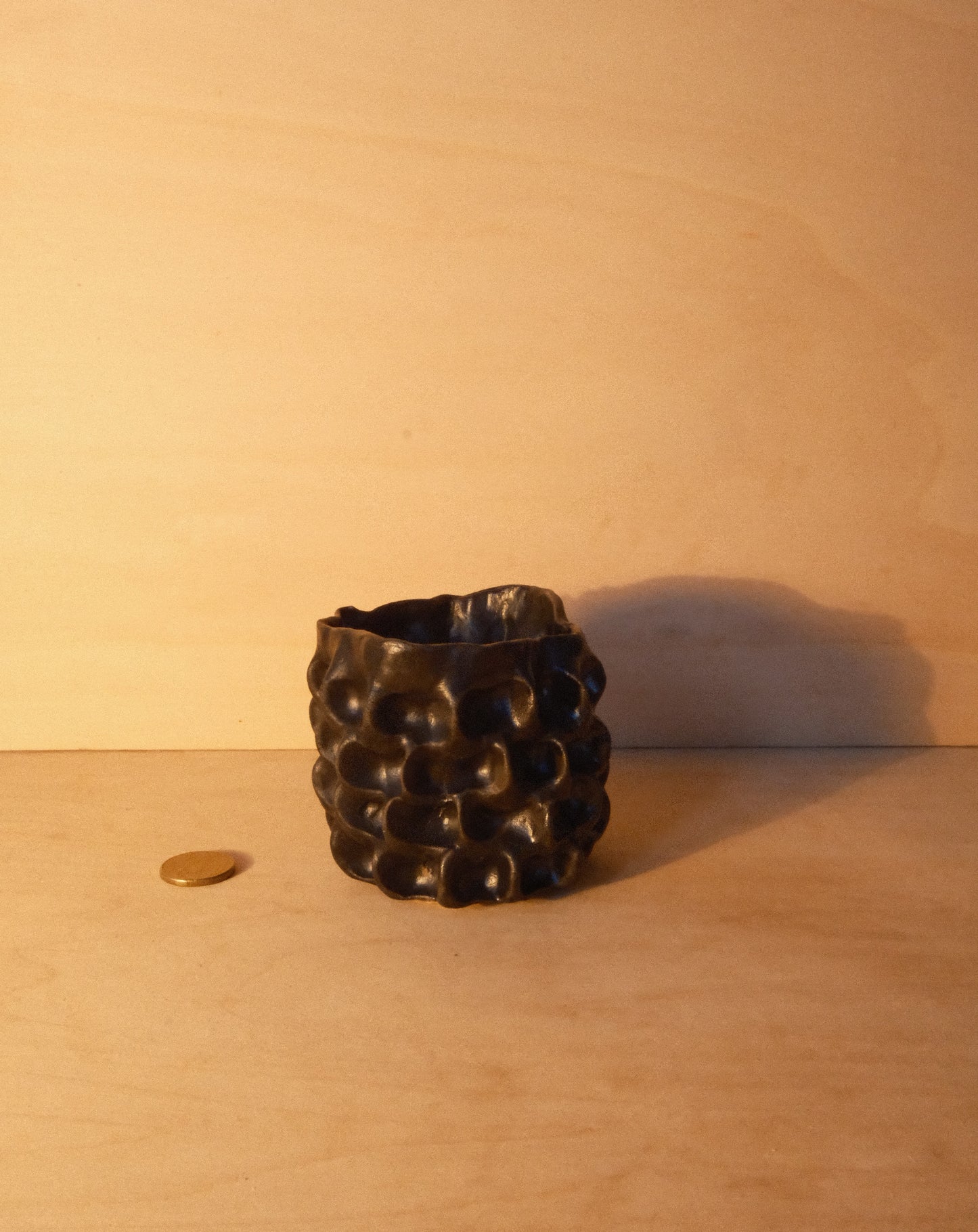 BLACK MOREL CUP 007