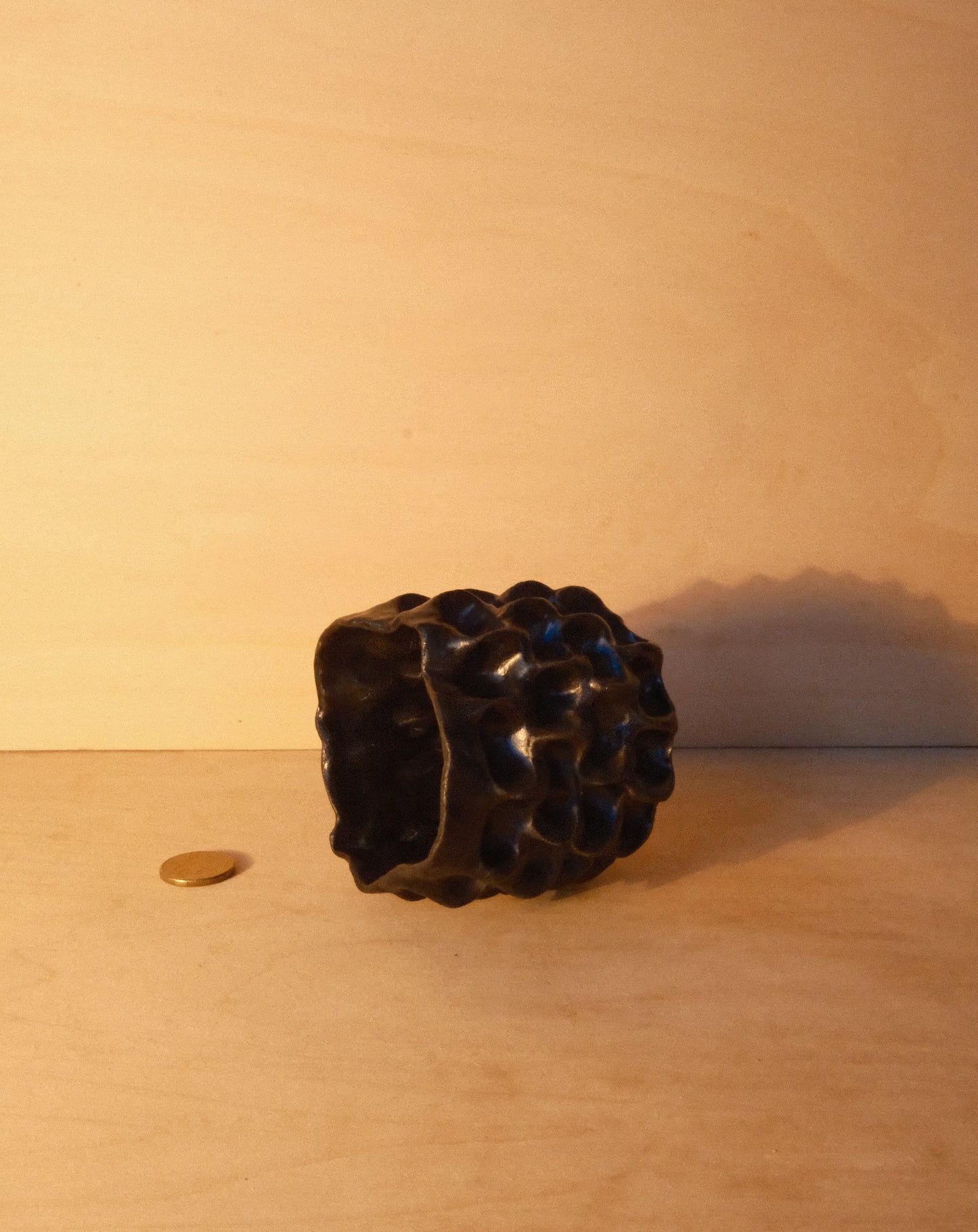 BLACK MOREL CUP 007