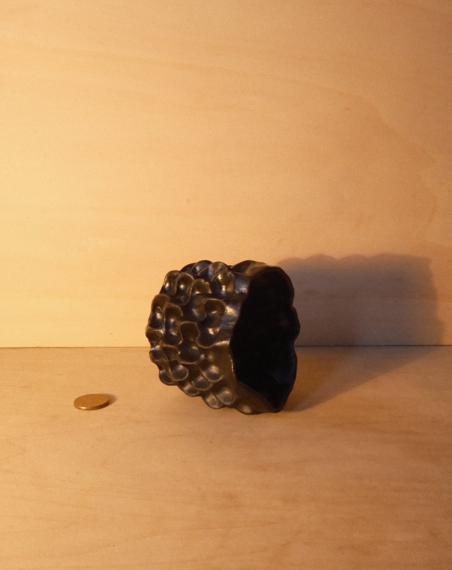 BLACK MOREL CUP 007