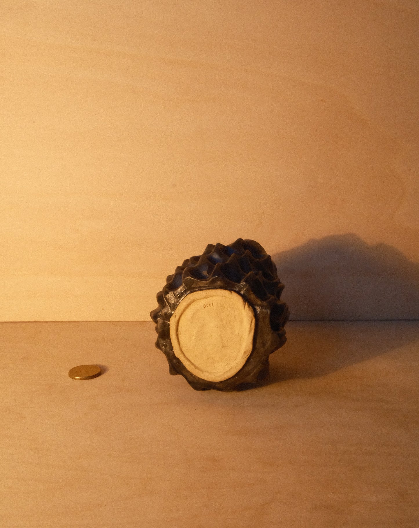 BLACK MOREL CUP 007