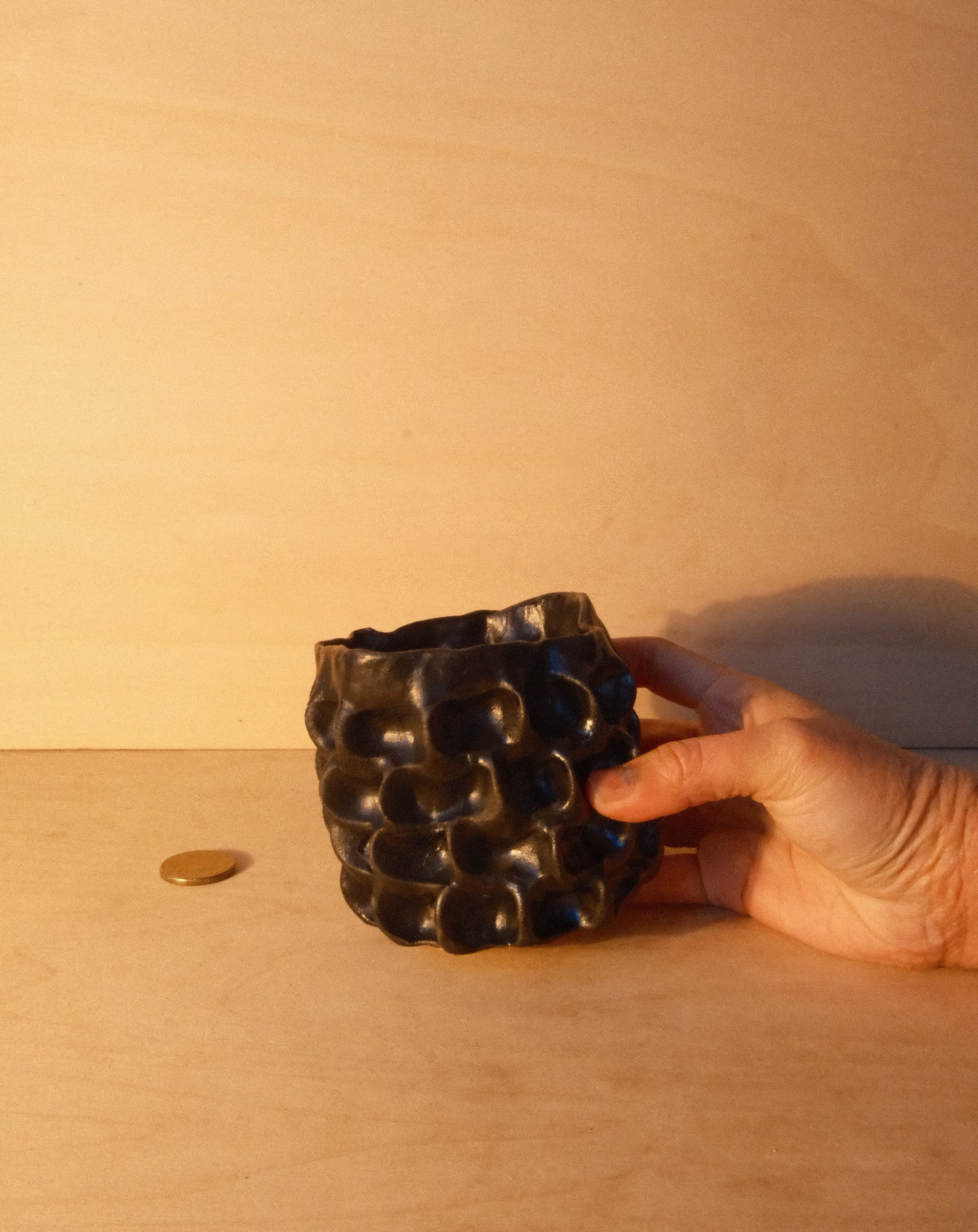 BLACK MOREL CUP 007