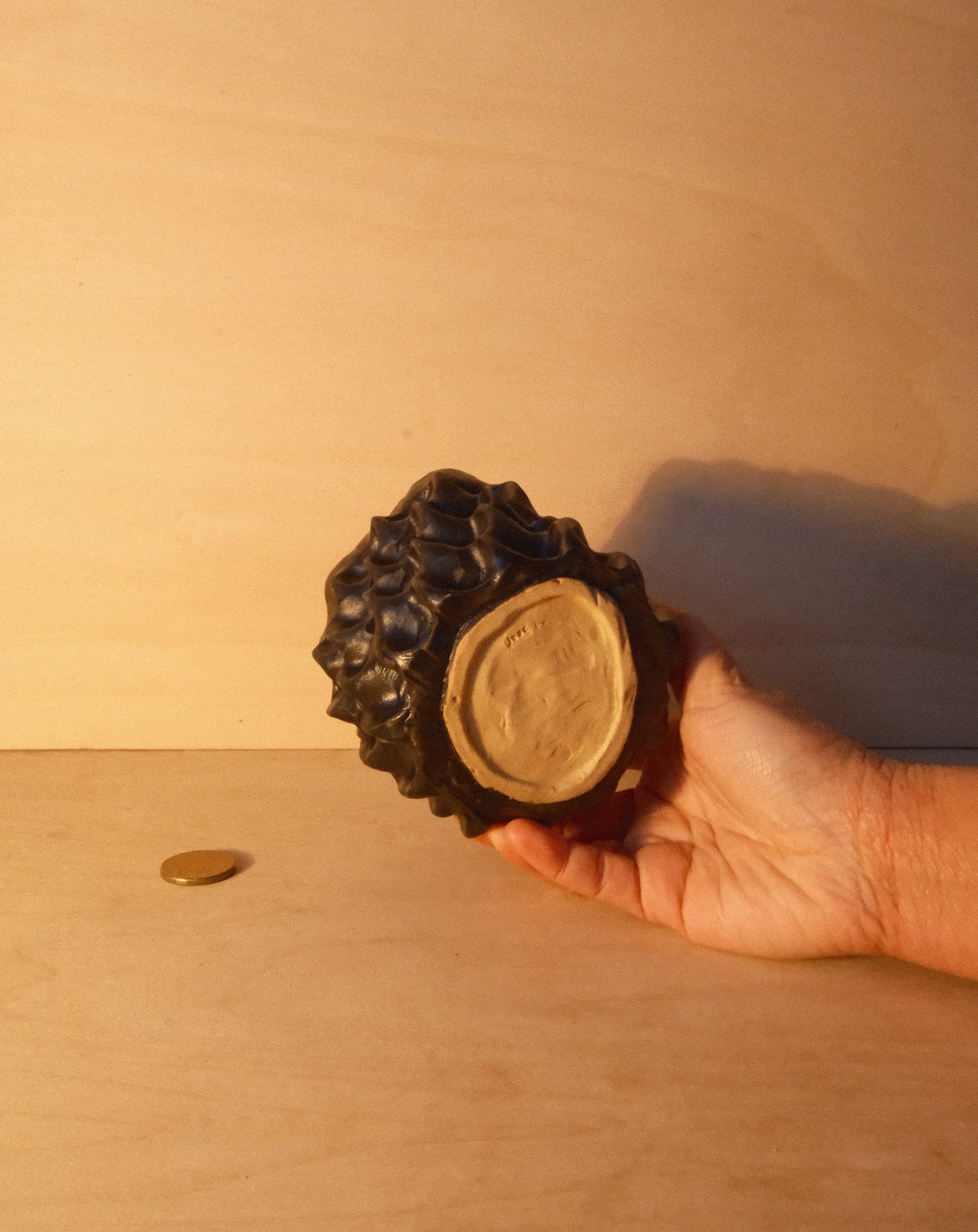 BLACK MOREL CUP 007
