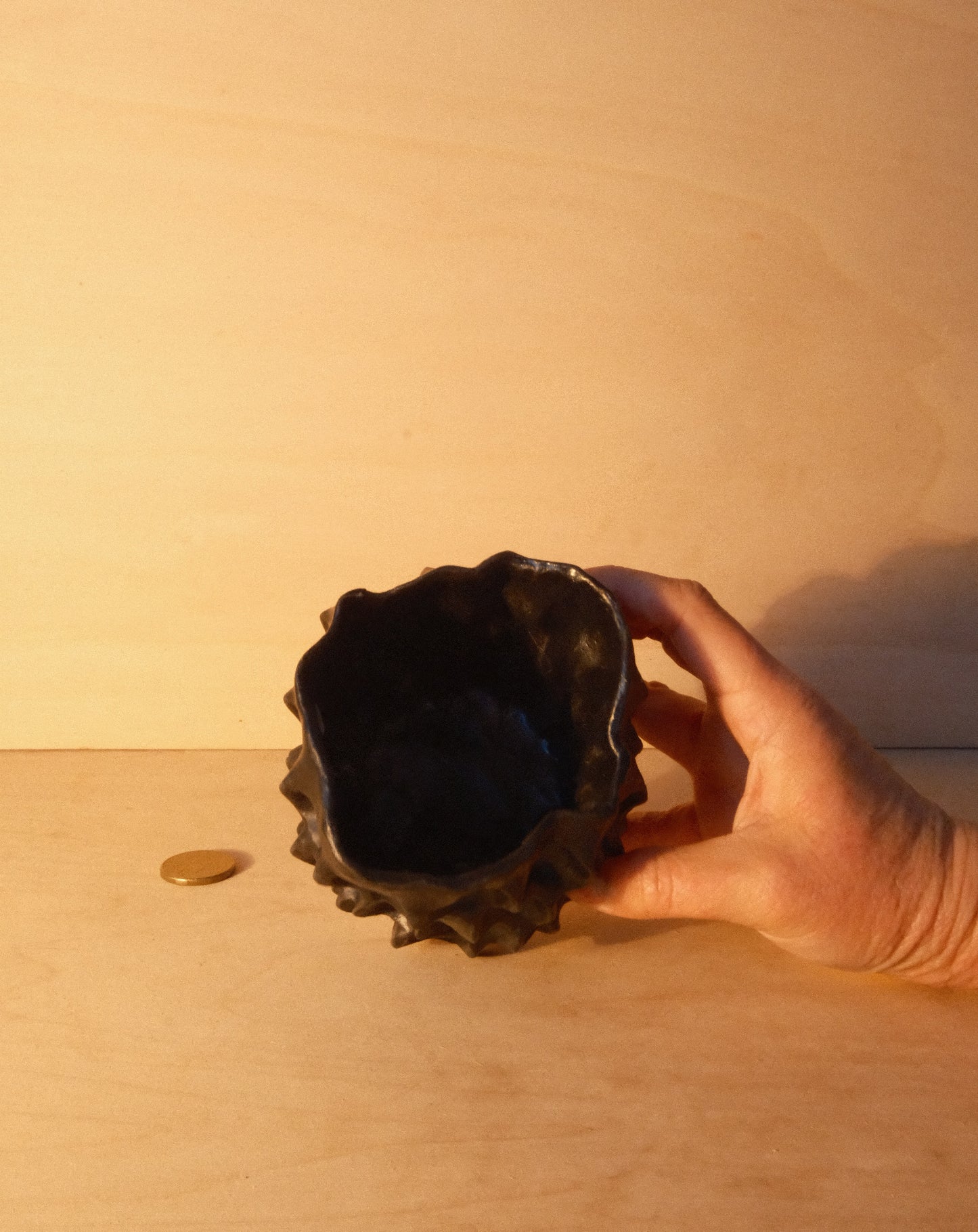 BLACK MOREL CUP 007