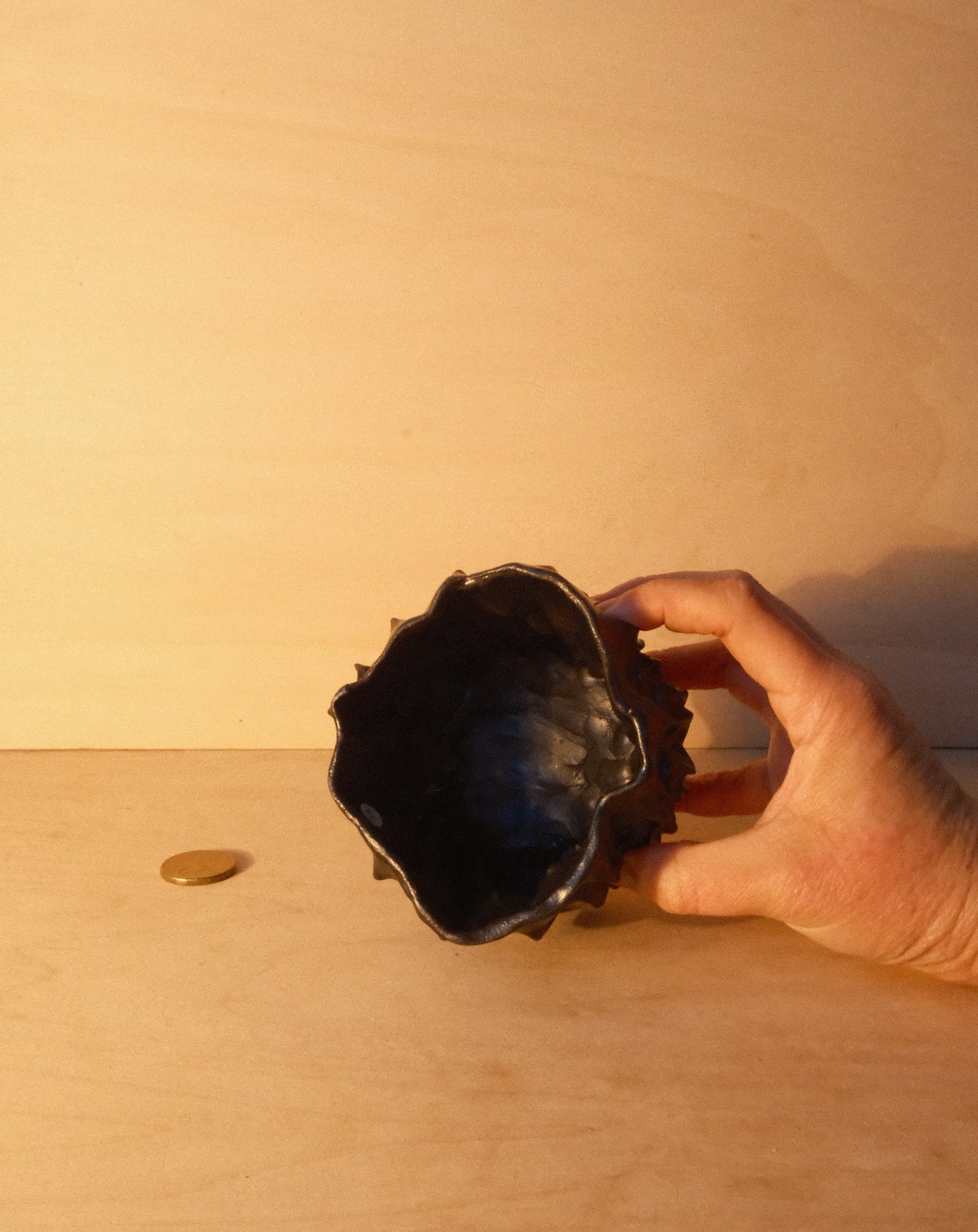 BLACK MOREL CUP 007