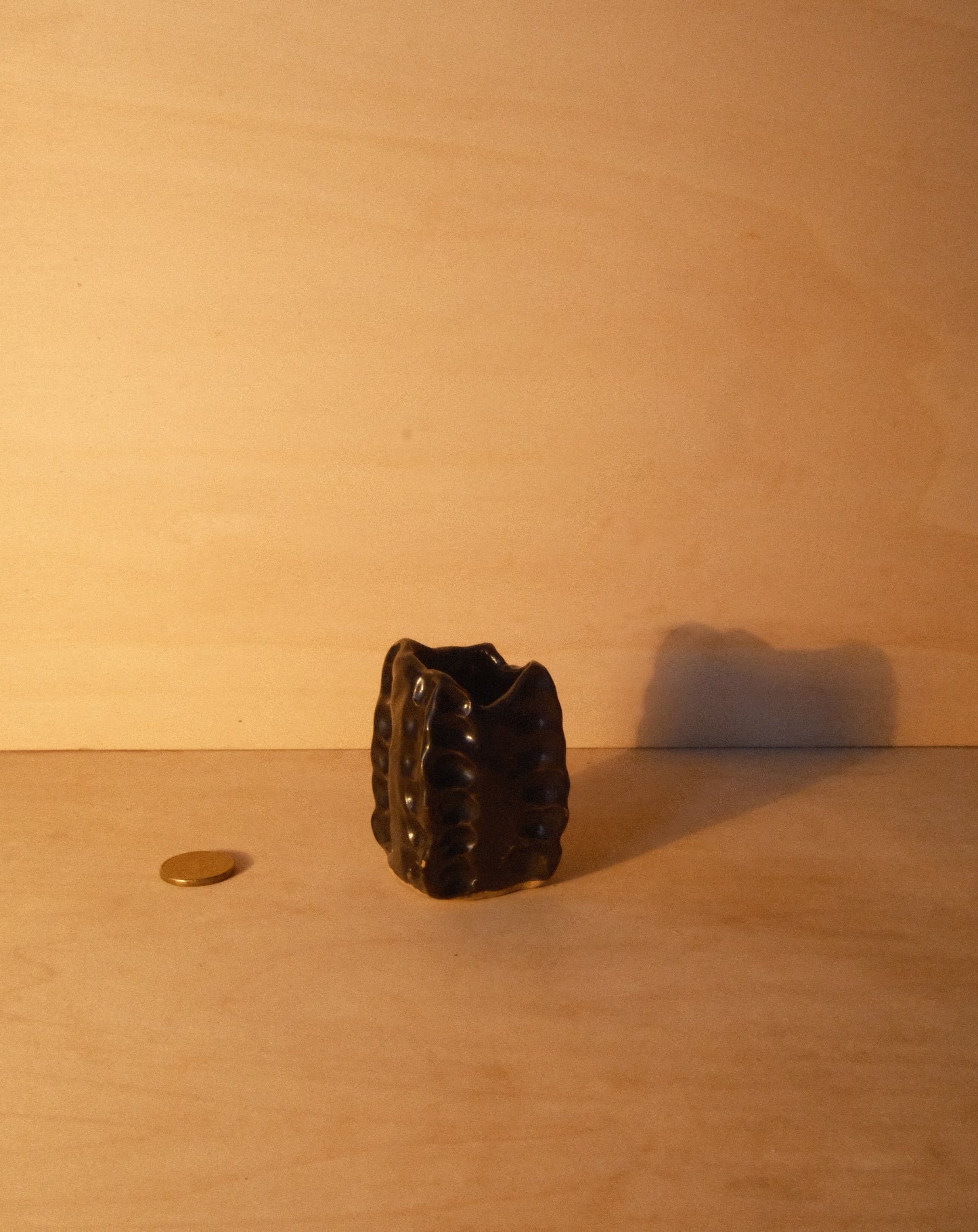 BLACK MOREL VASE 005