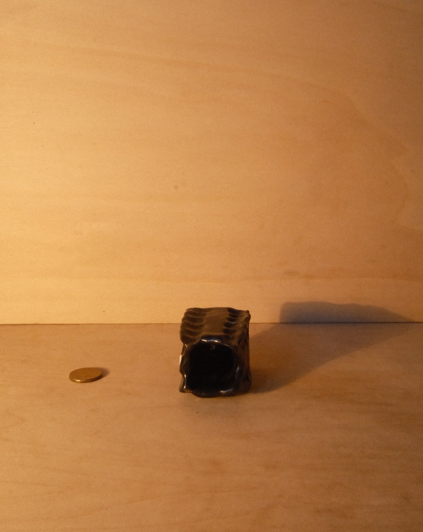 BLACK MOREL VASE 005