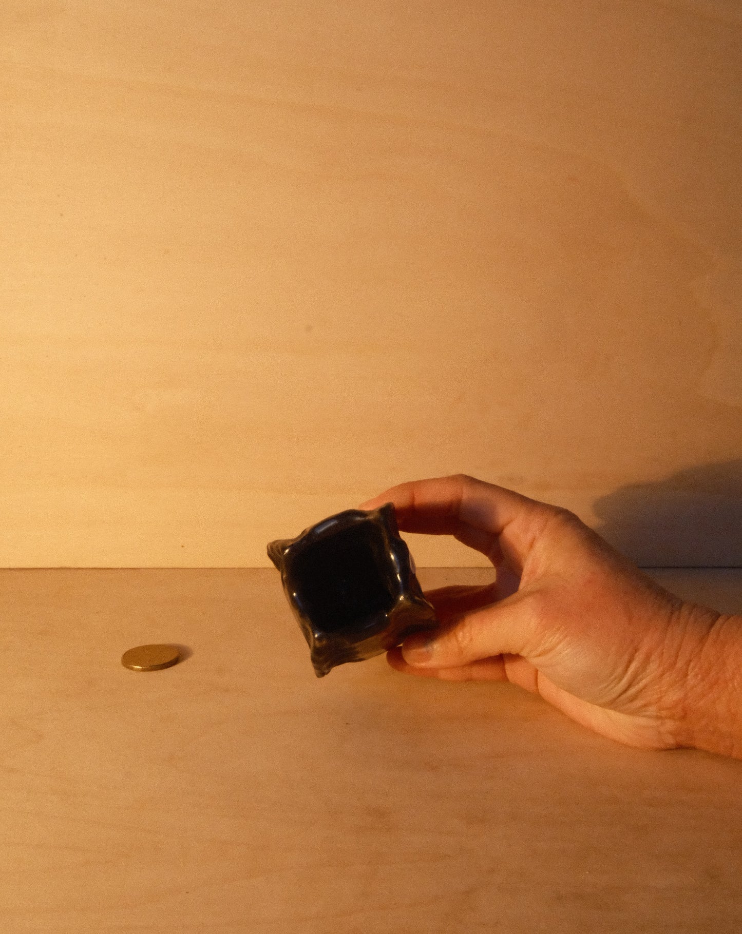 BLACK MOREL VASE 005