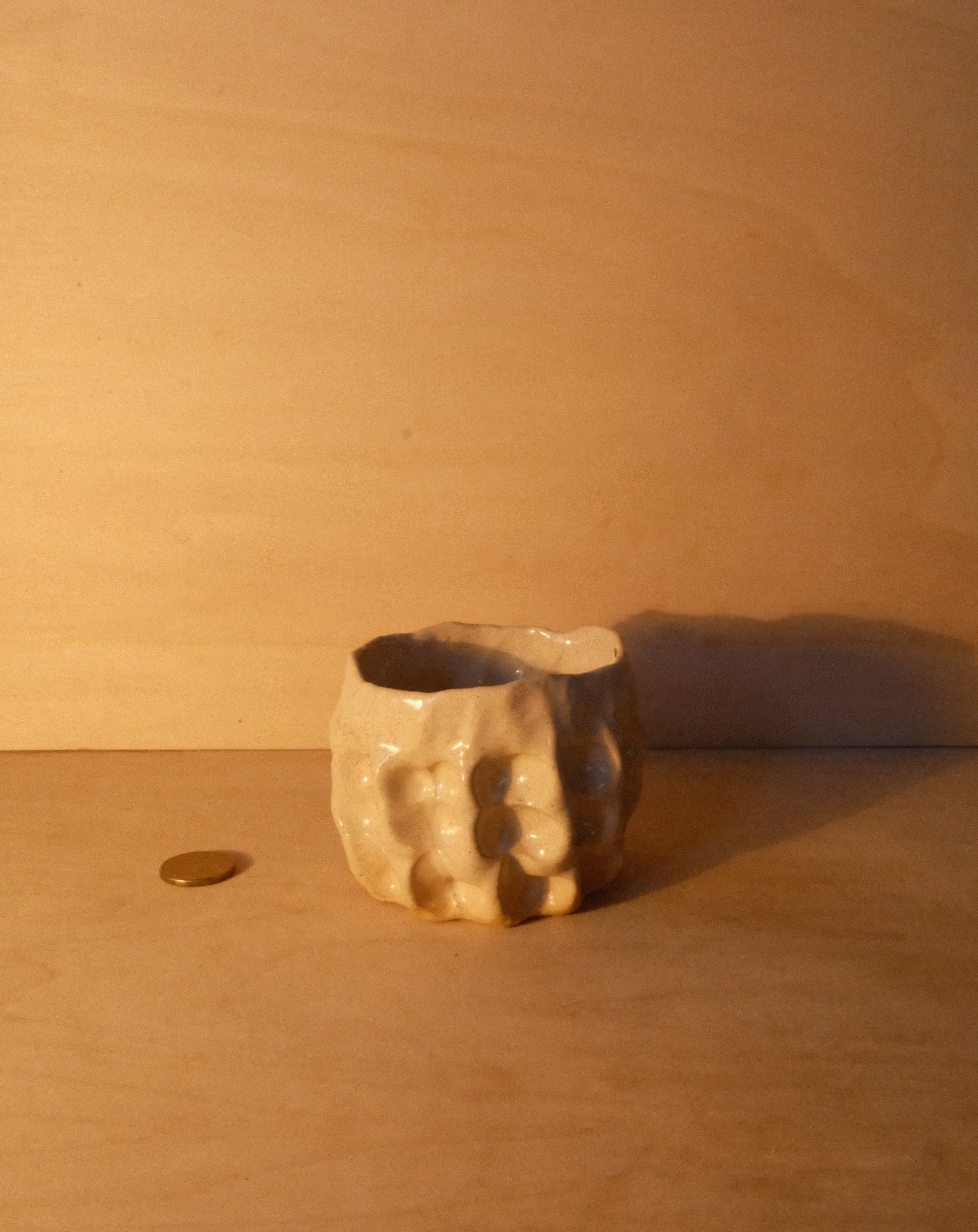 DUSK MOREL CUP 007