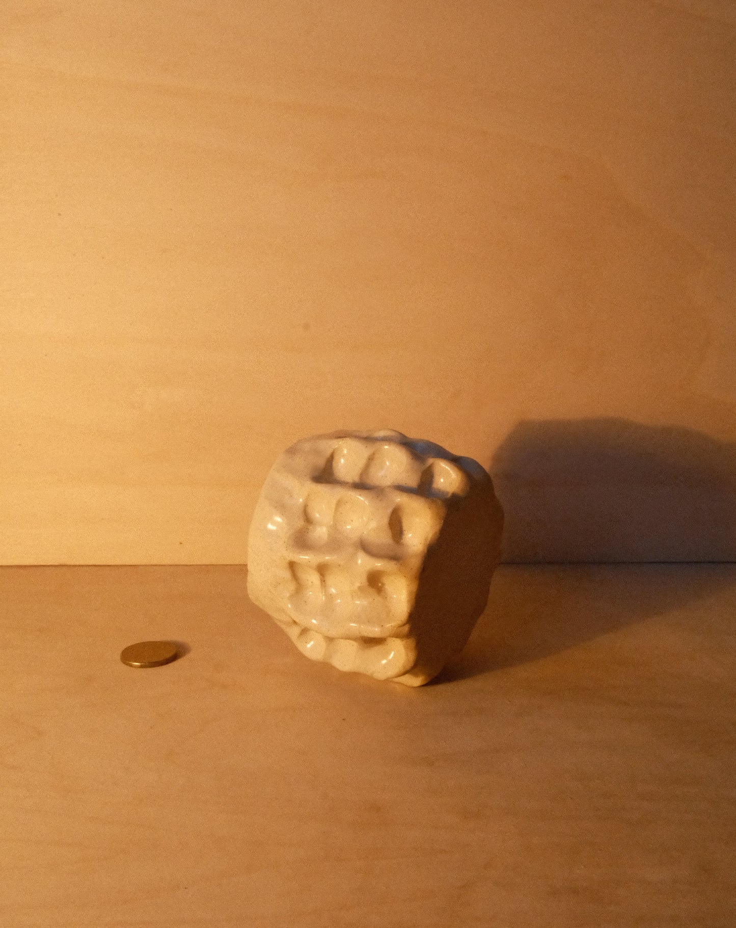DUSK MOREL CUP 007