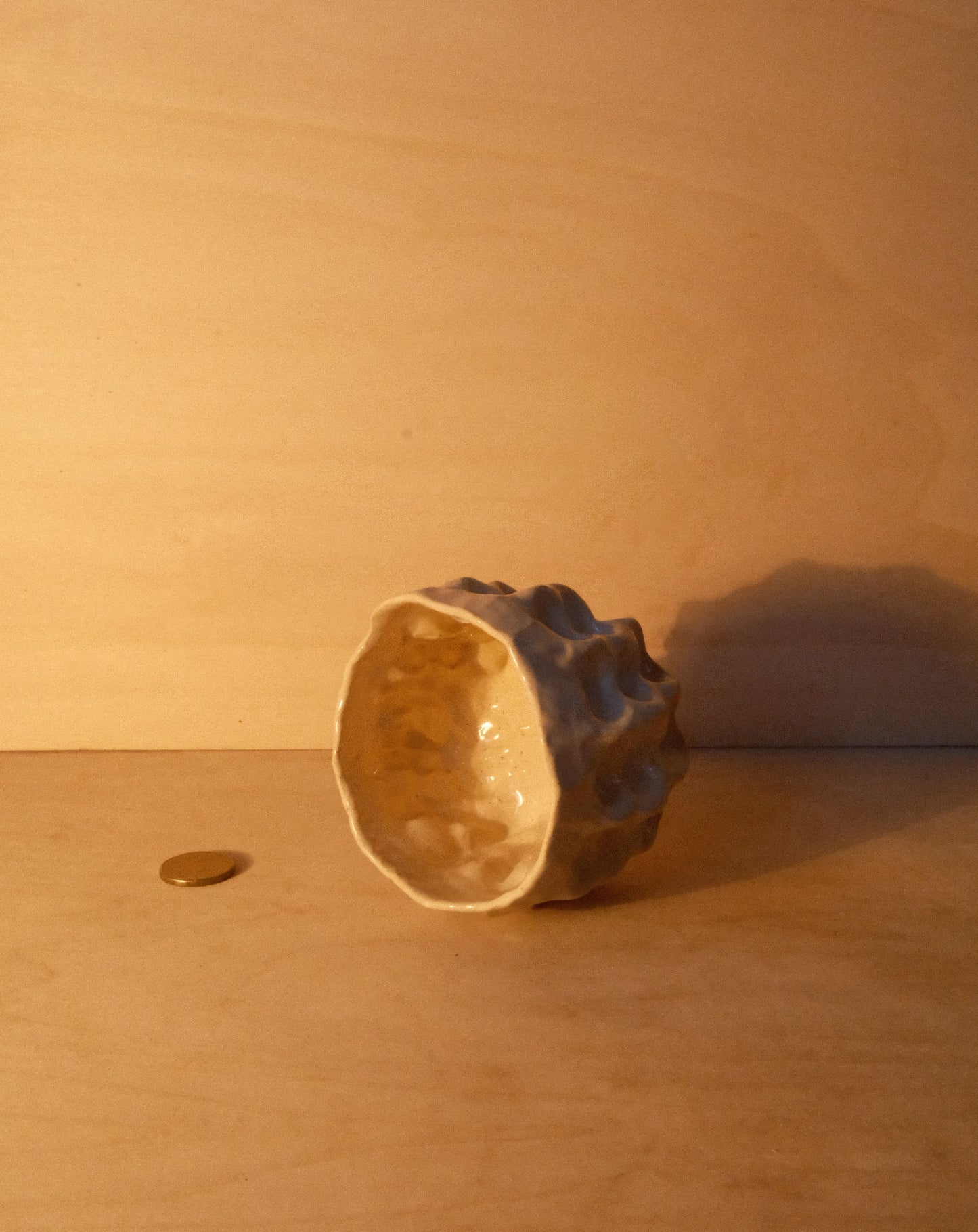 DUSK MOREL CUP 007