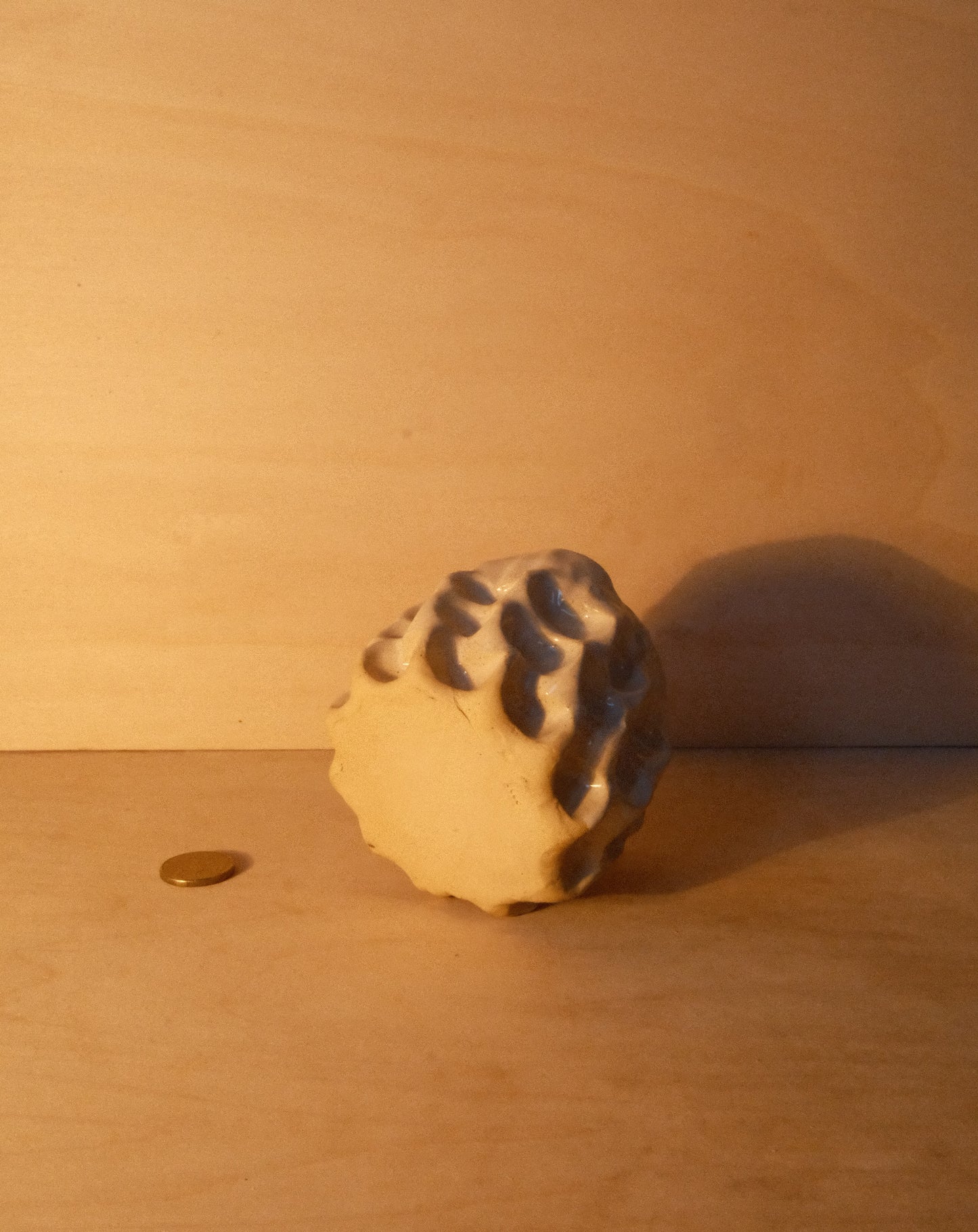 DUSK MOREL CUP 007