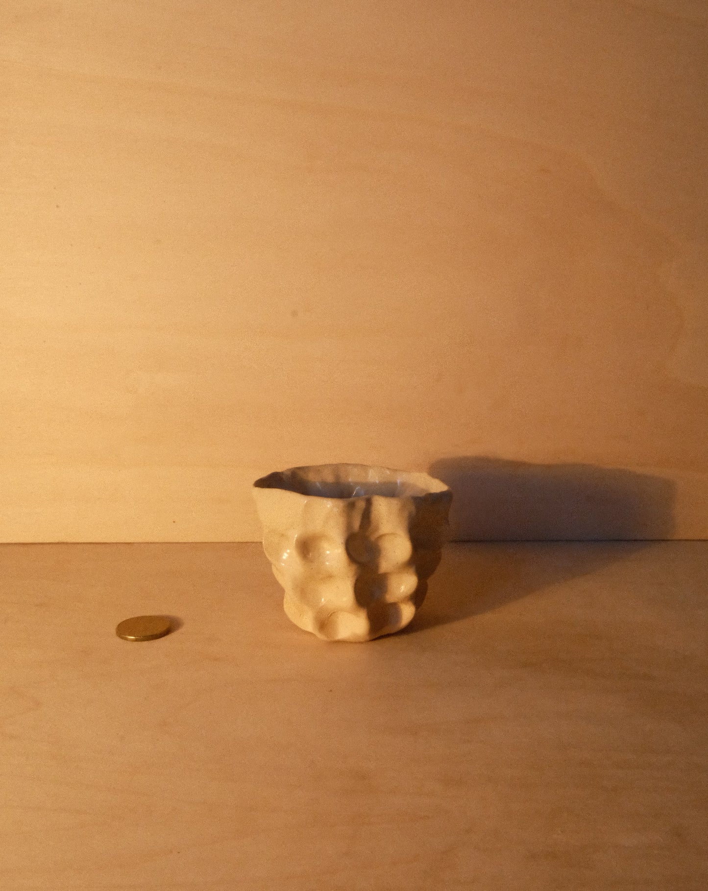 DUSK MOREL CUP 008