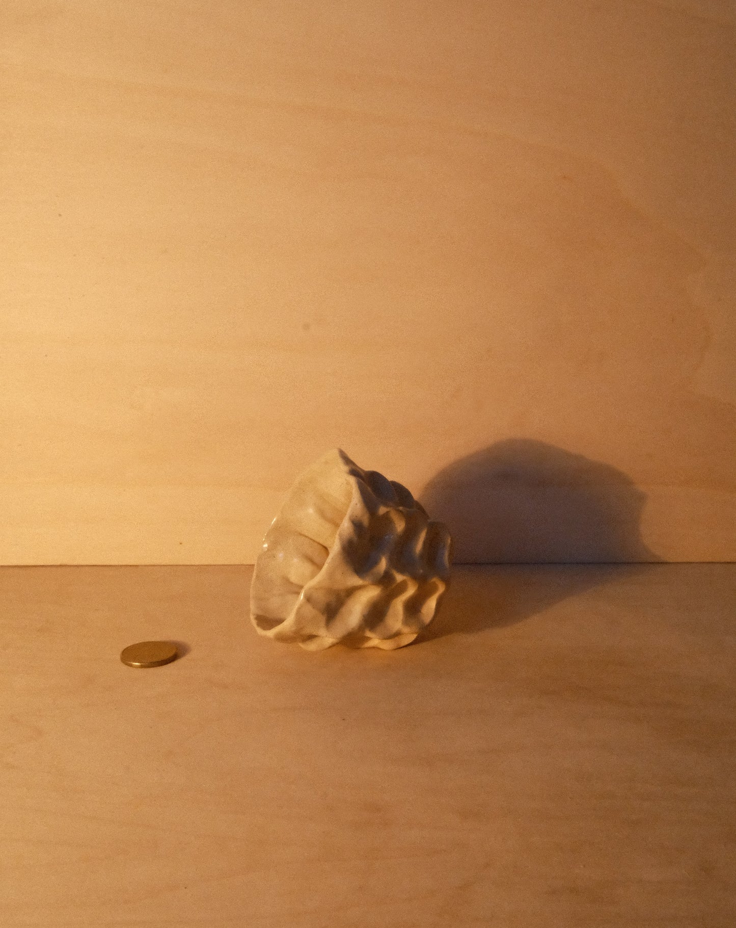 DUSK MOREL CUP 008