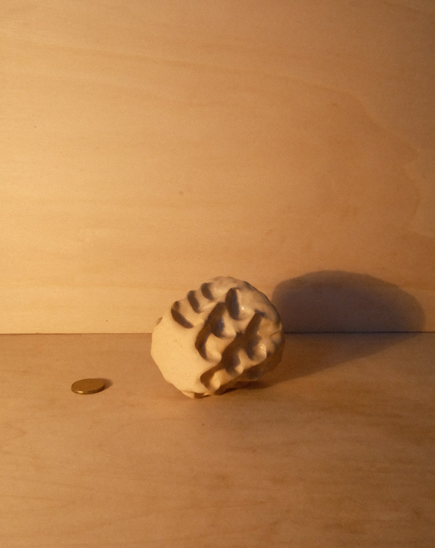 DUSK MOREL CUP 008