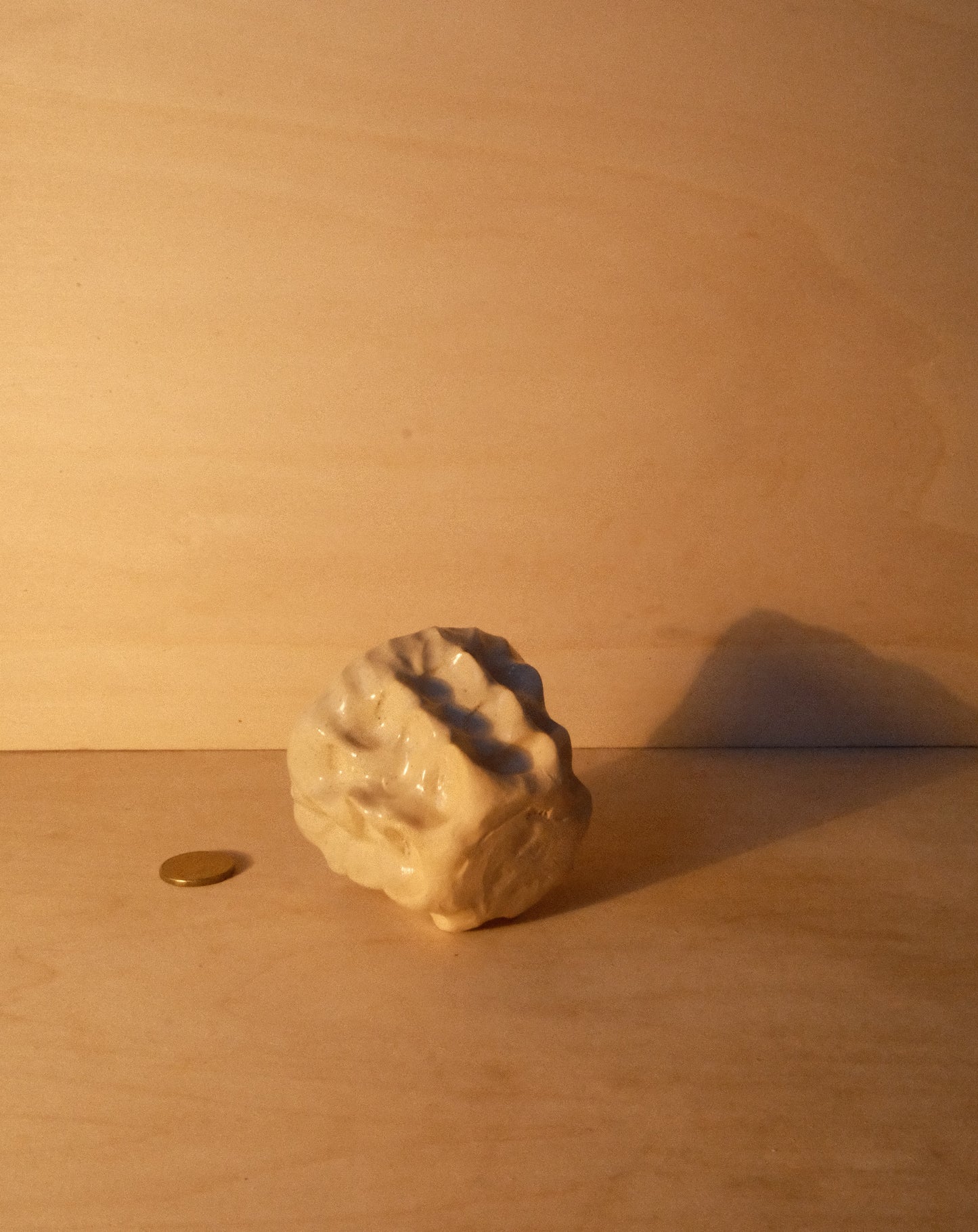 DUSK MOREL CUP 008