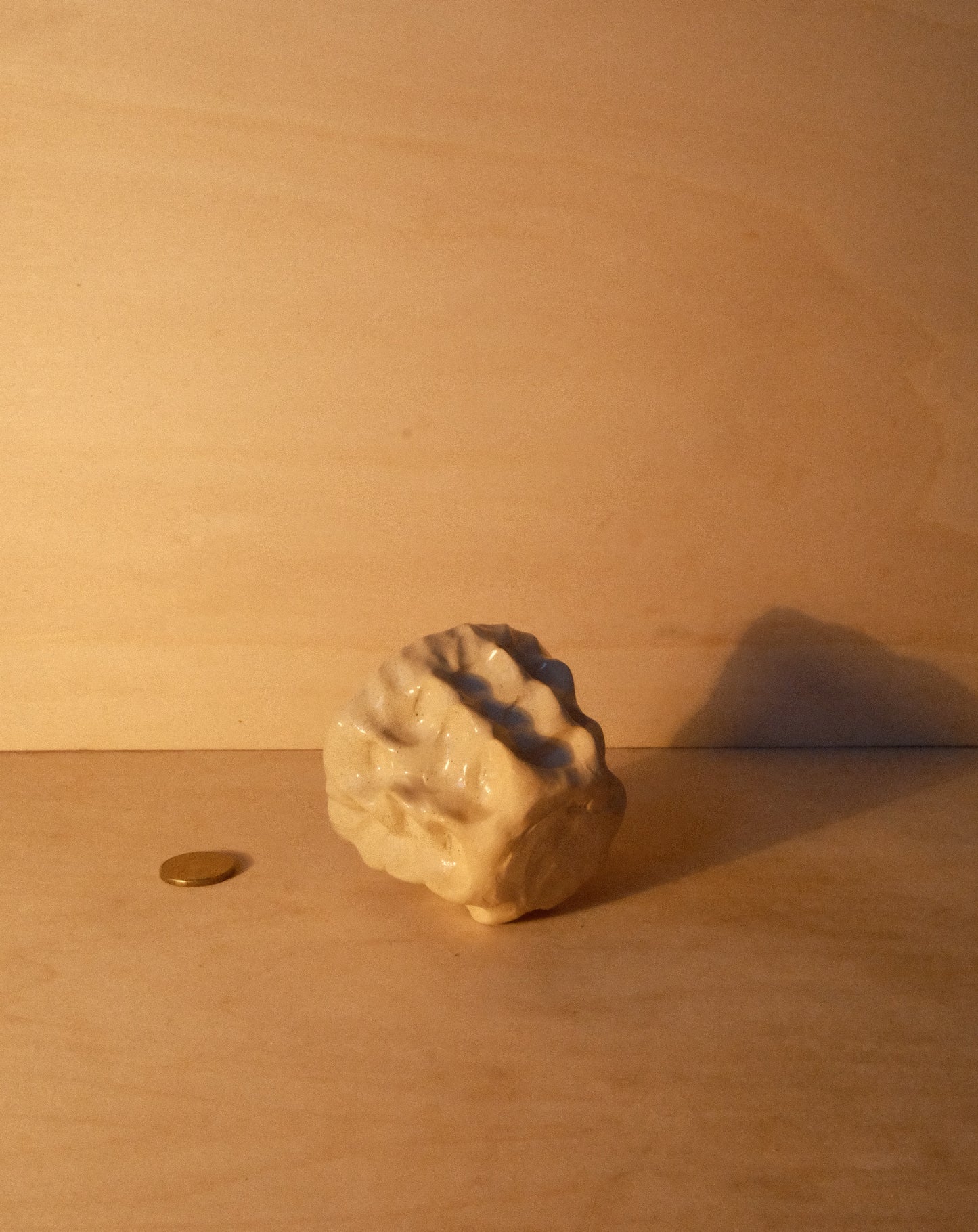 DUSK MOREL CUP 008