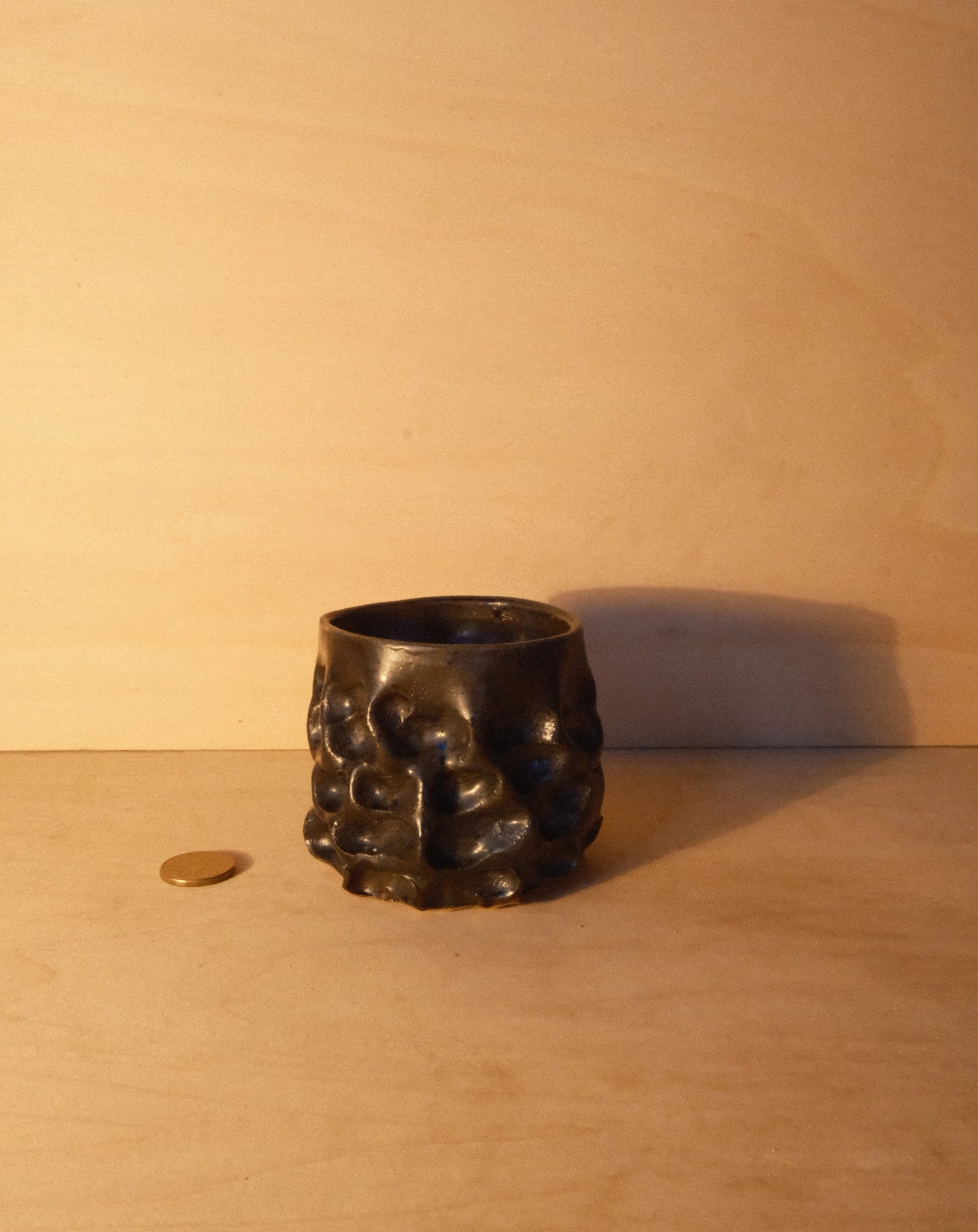 BLACK MOREL CUP 008